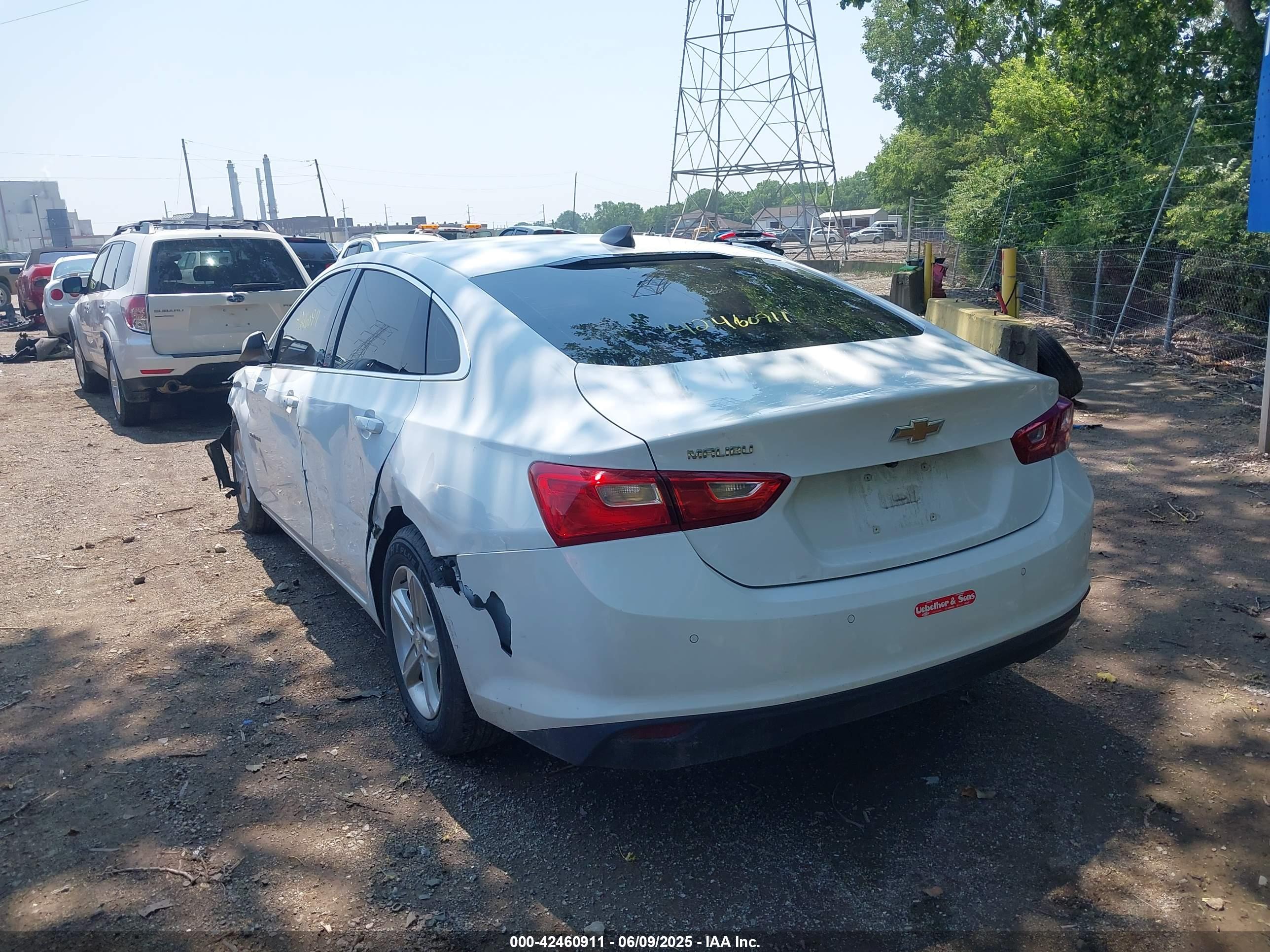 CHEVROLET MALIBU image 3