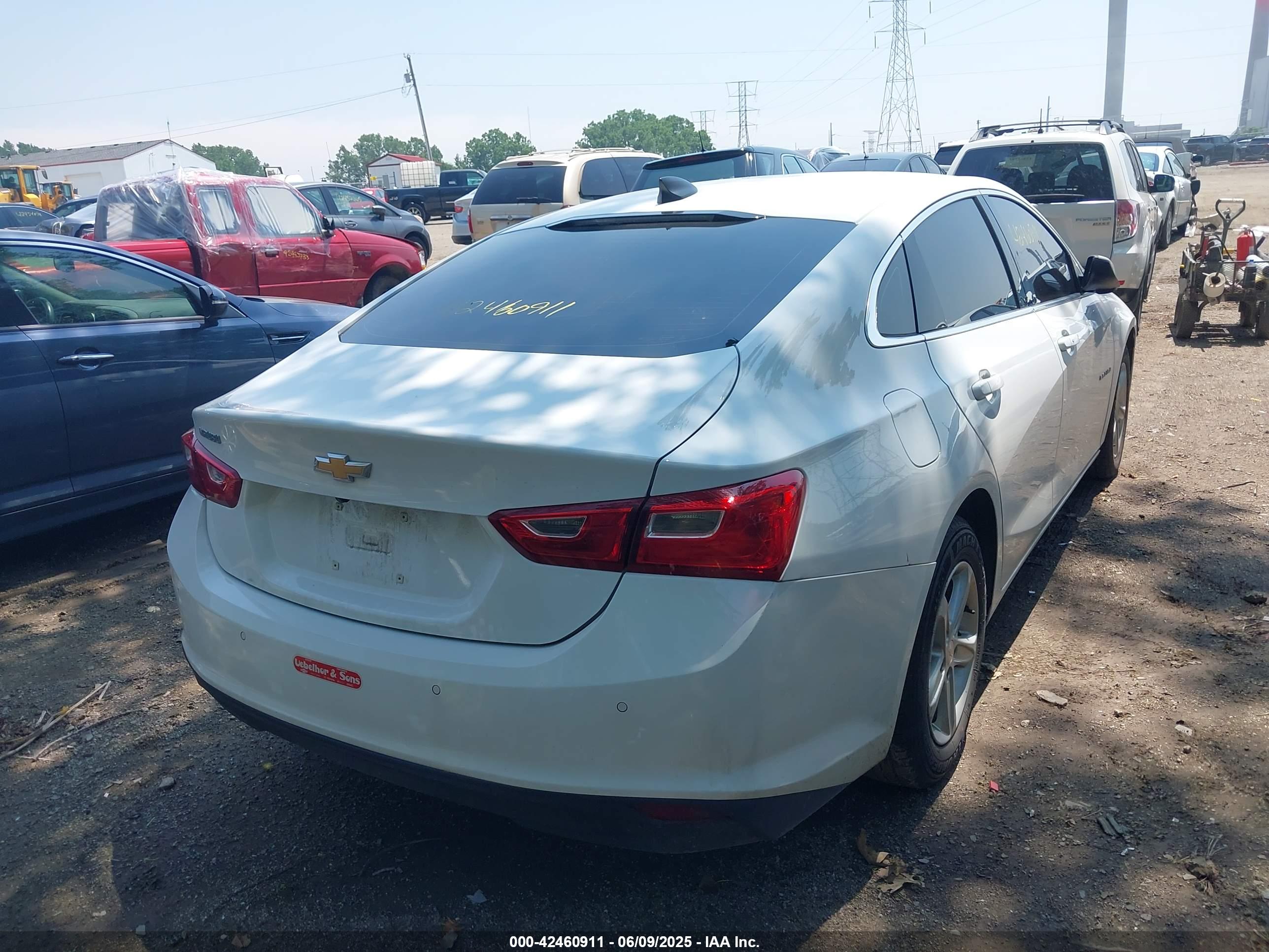 CHEVROLET MALIBU image 4