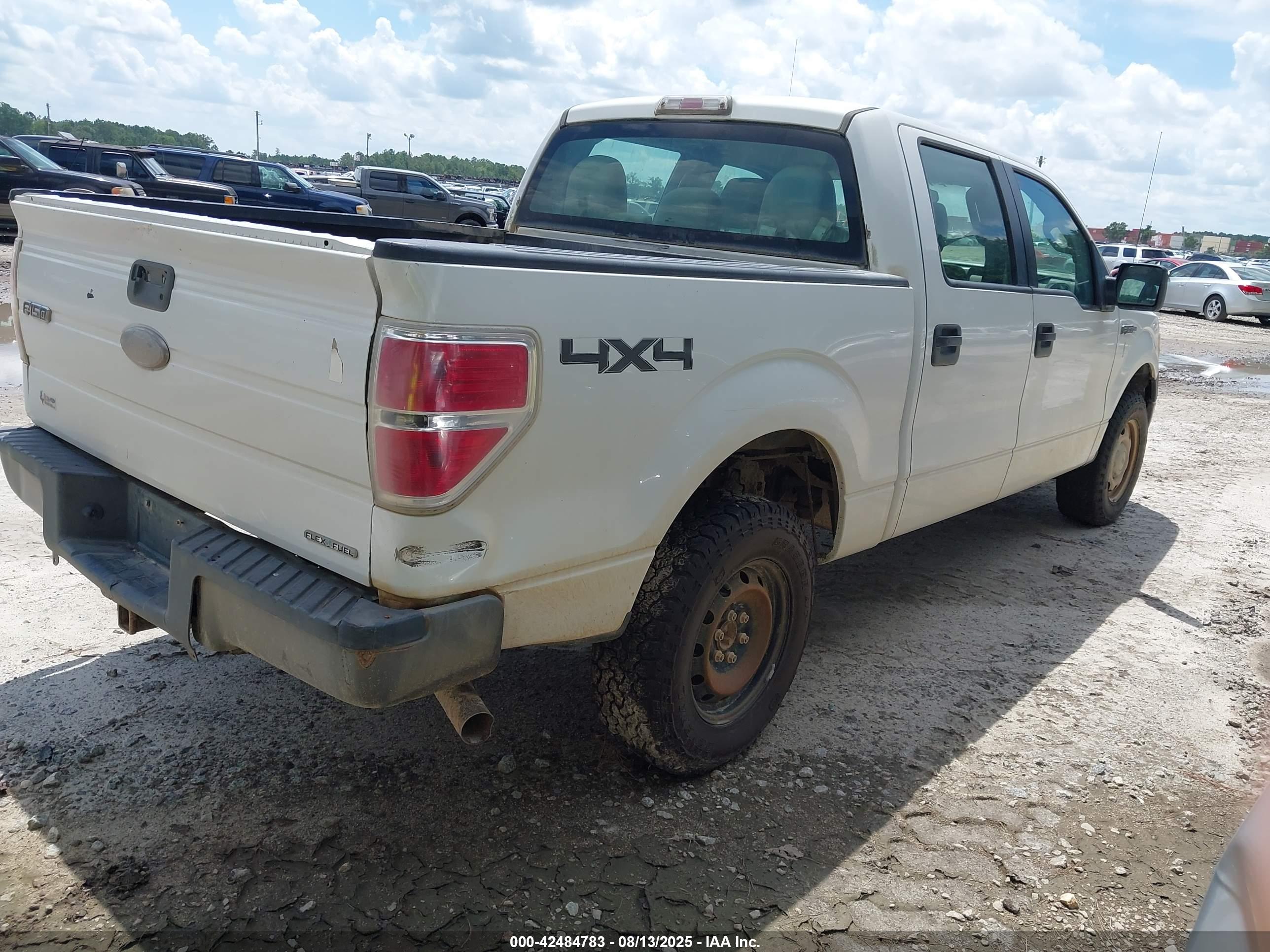 FORD F-150 image 4