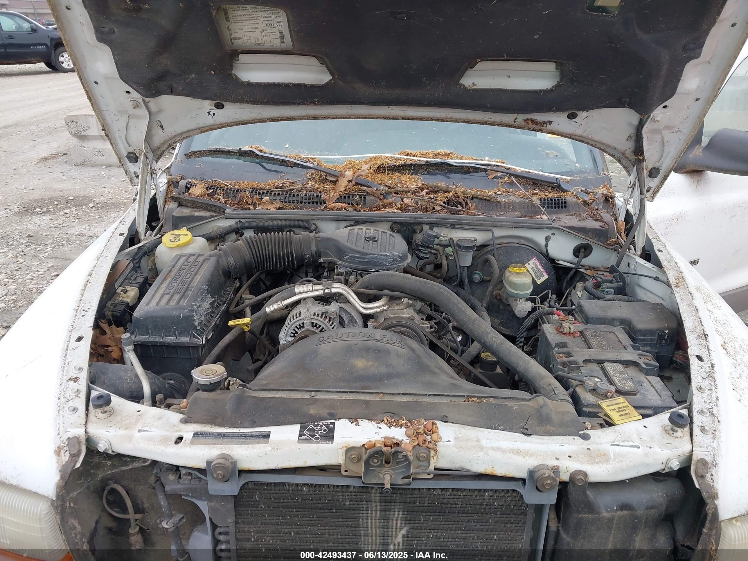 DODGE DAKOTA image 10