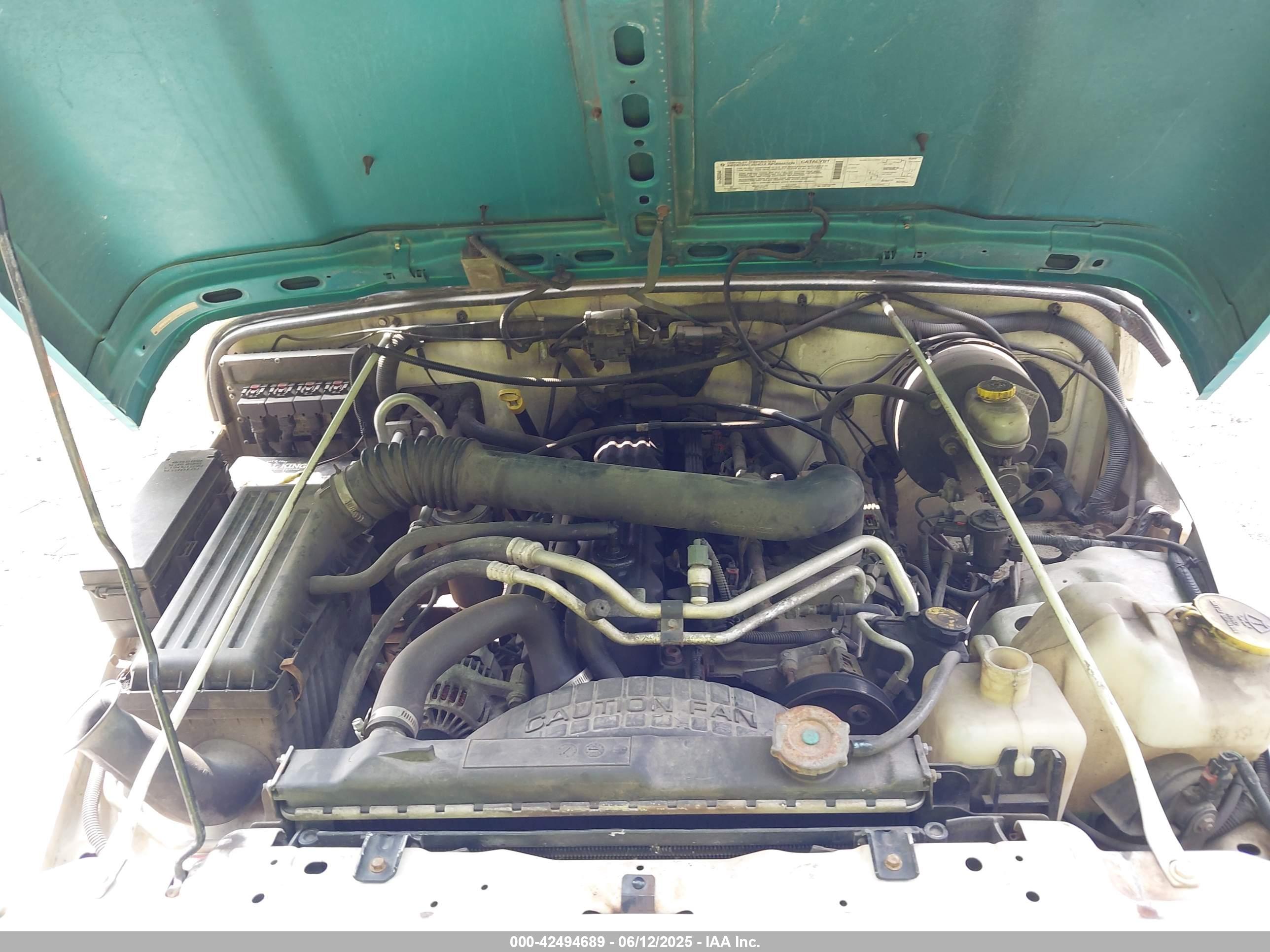 JEEP WRANGLER image 10