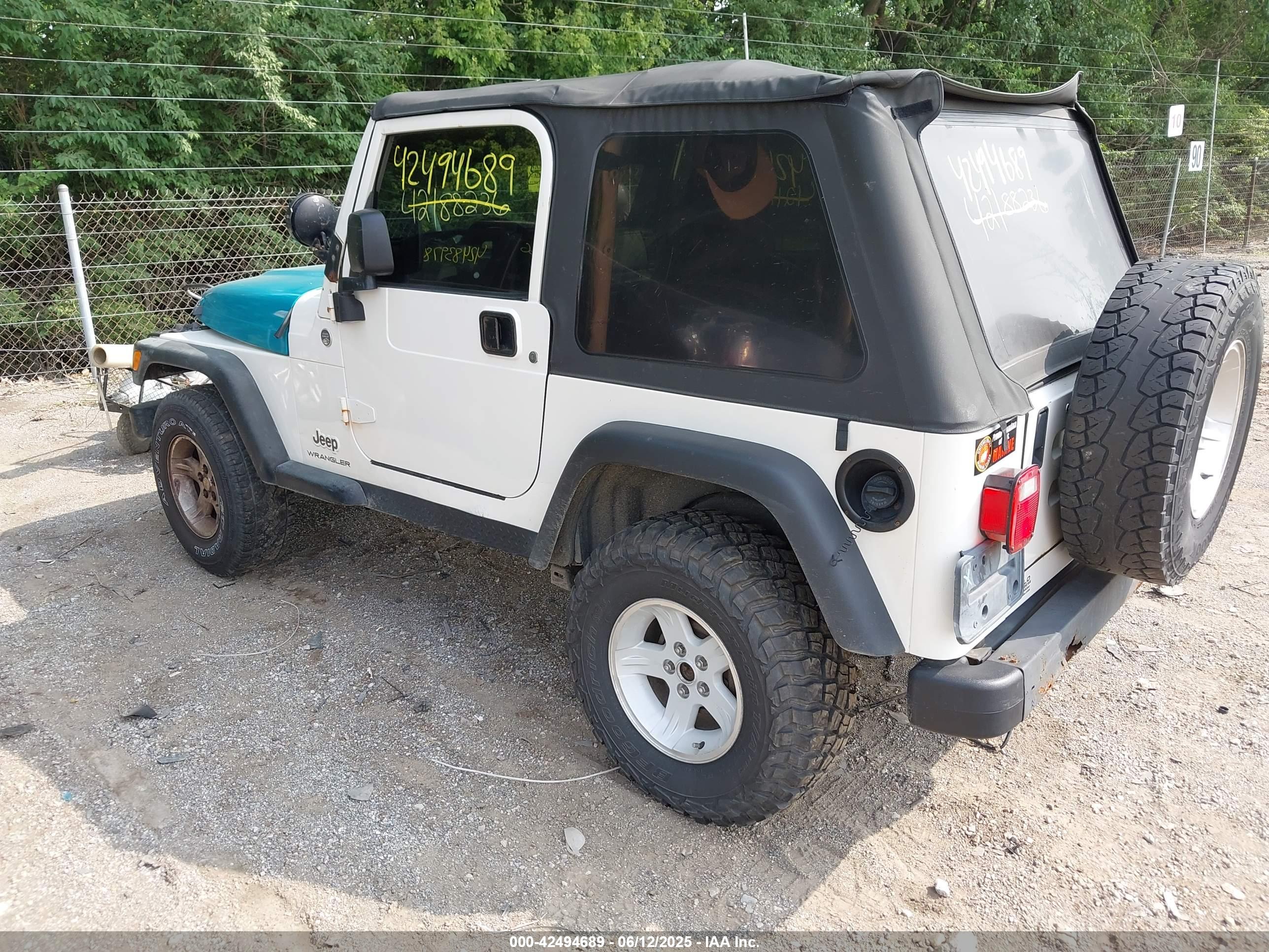 JEEP WRANGLER image 3