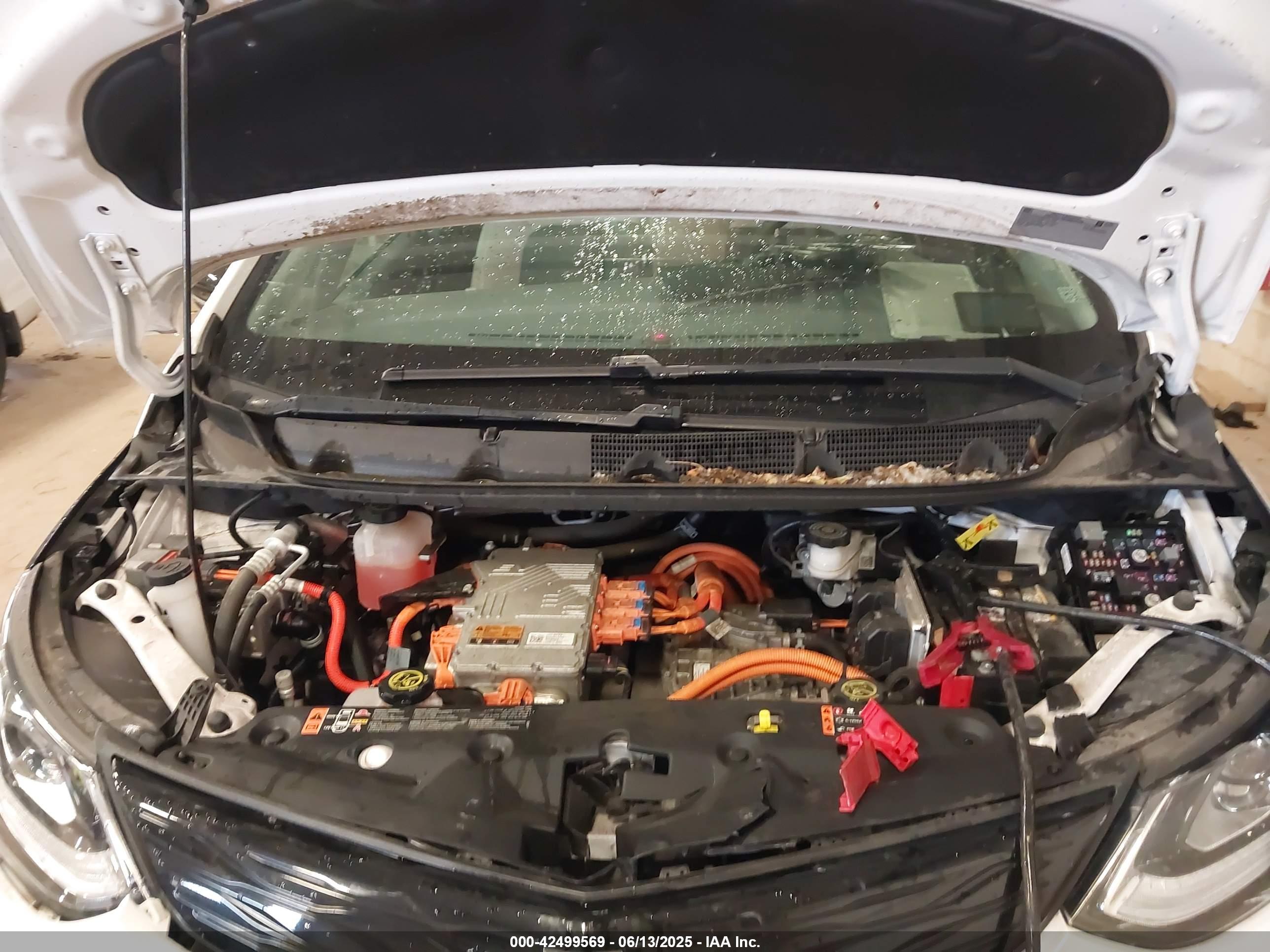 CHEVROLET BOLT image 10