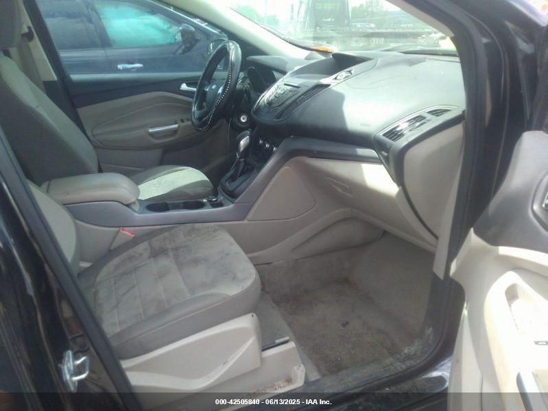 FORD ESCAPE image 5