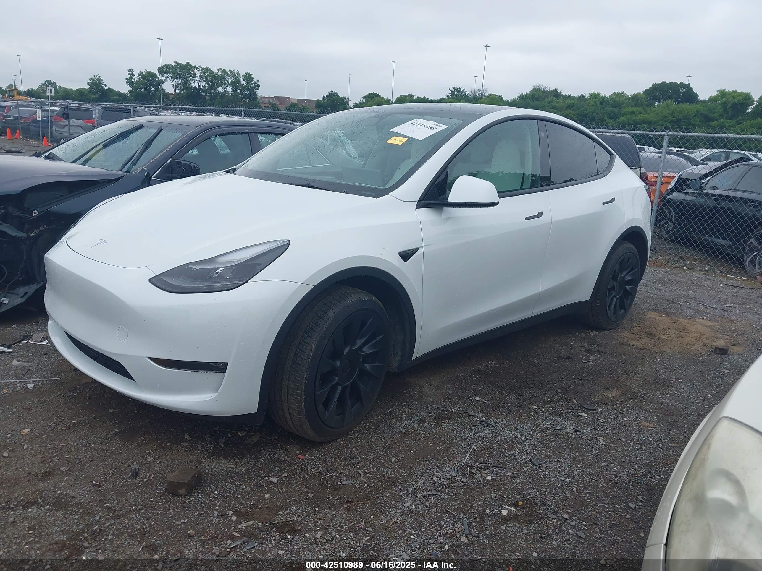 TESLA MODEL image 2