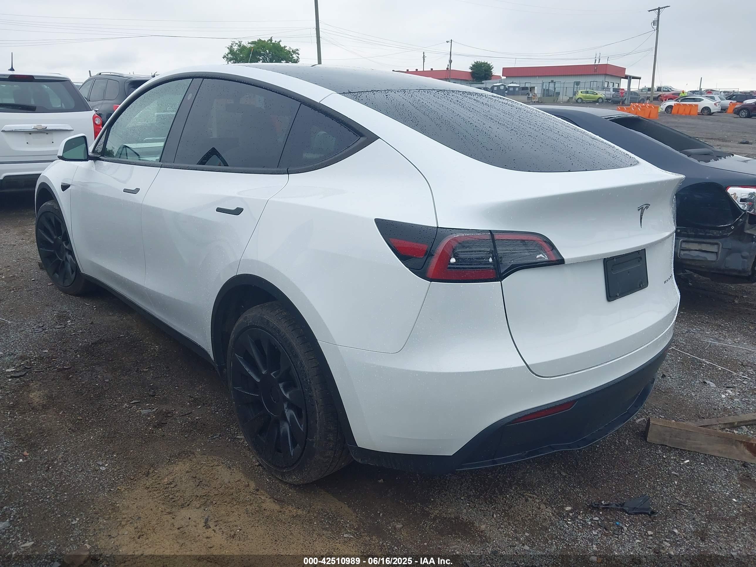 TESLA MODEL image 3