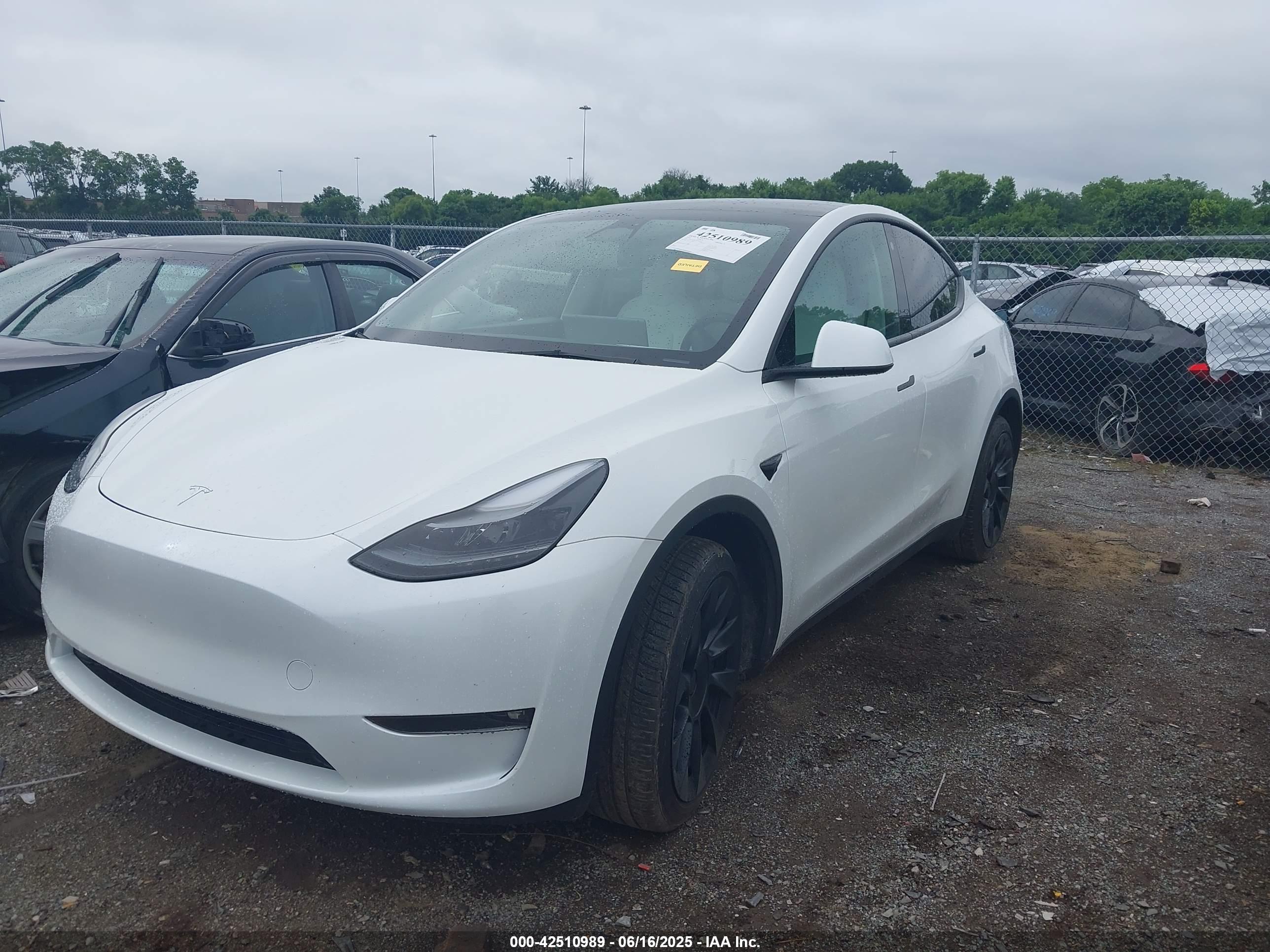 TESLA MODEL image 6