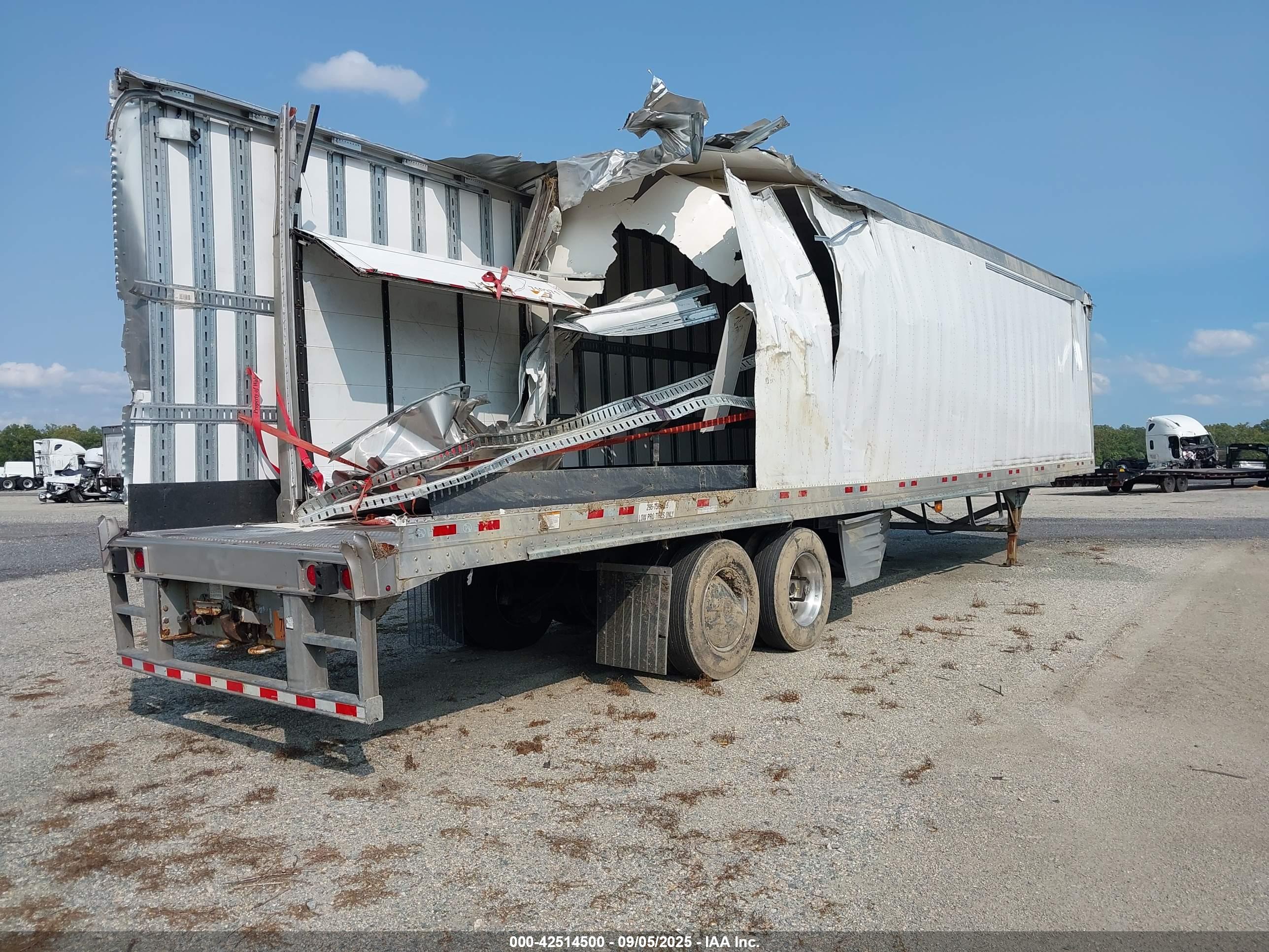 GREAT DANE image 4