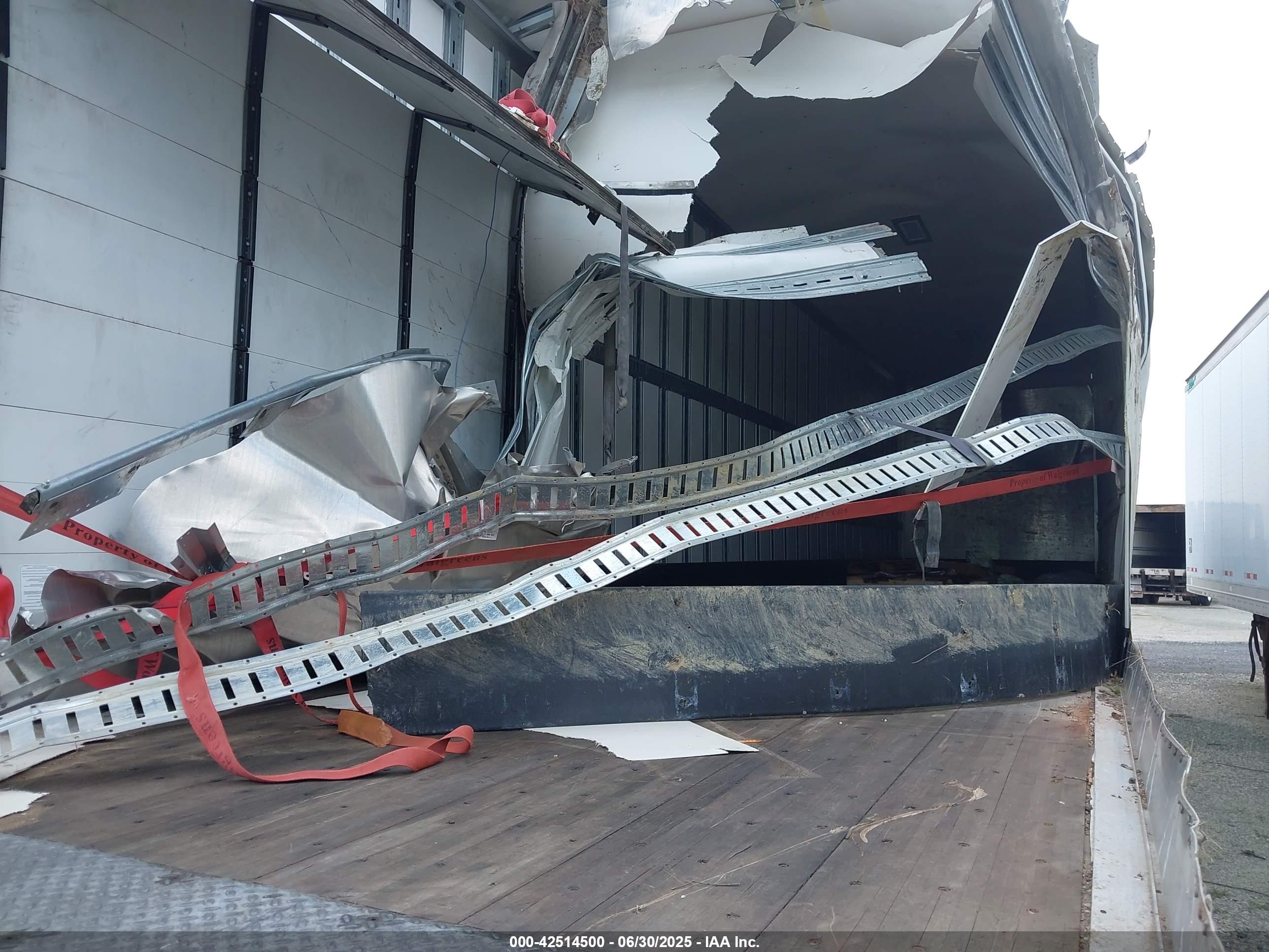 GREAT DANE image 5