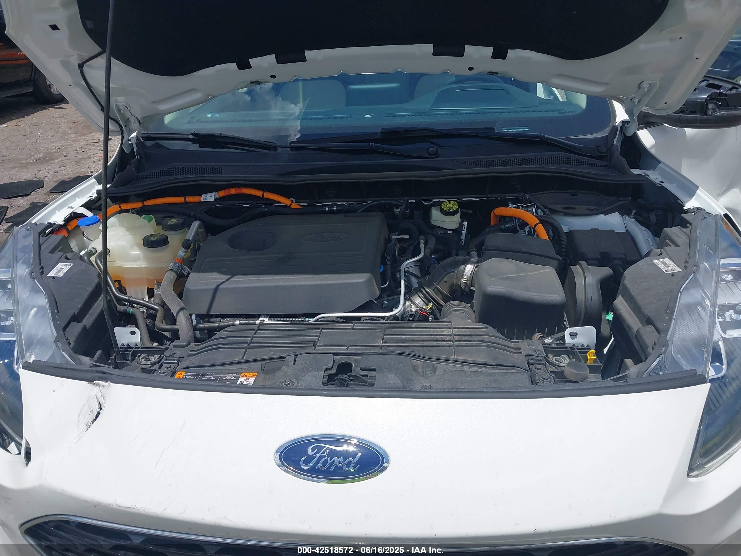 FORD ESCAPE image 10