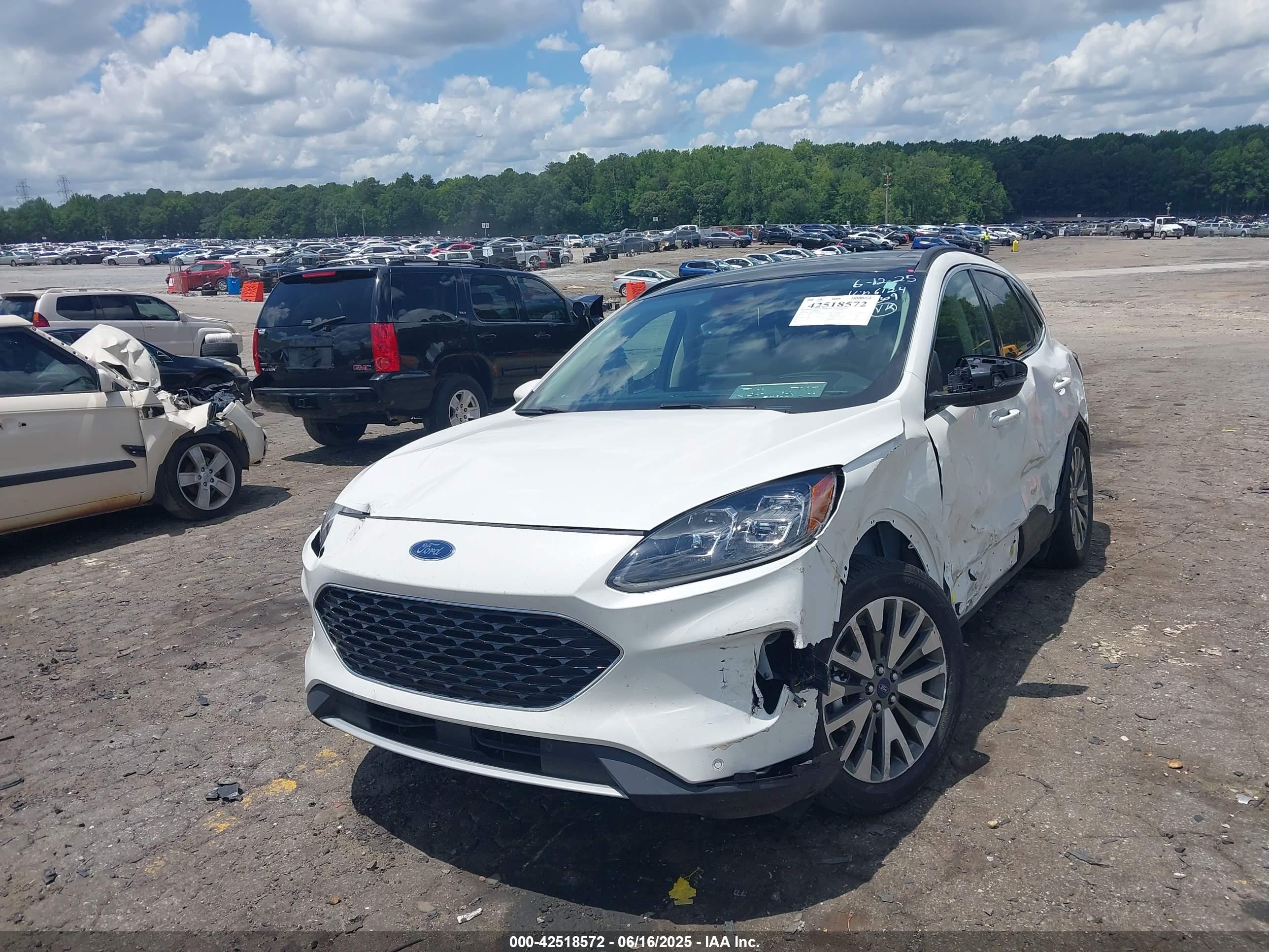 FORD ESCAPE image 2