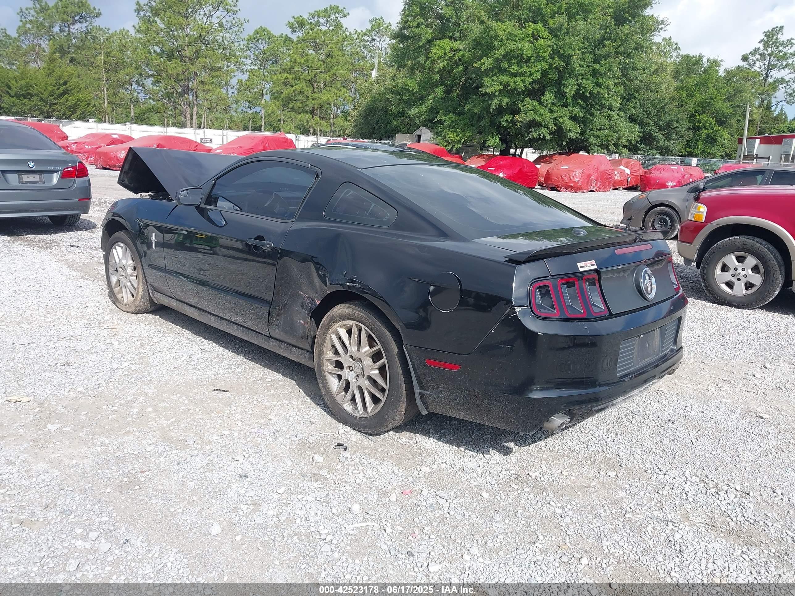 FORD MUSTANG image 3