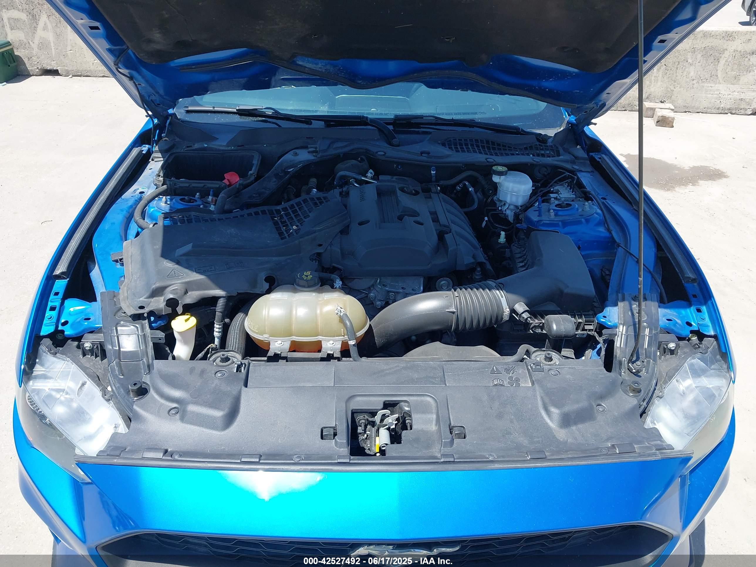 FORD MUSTANG image 10