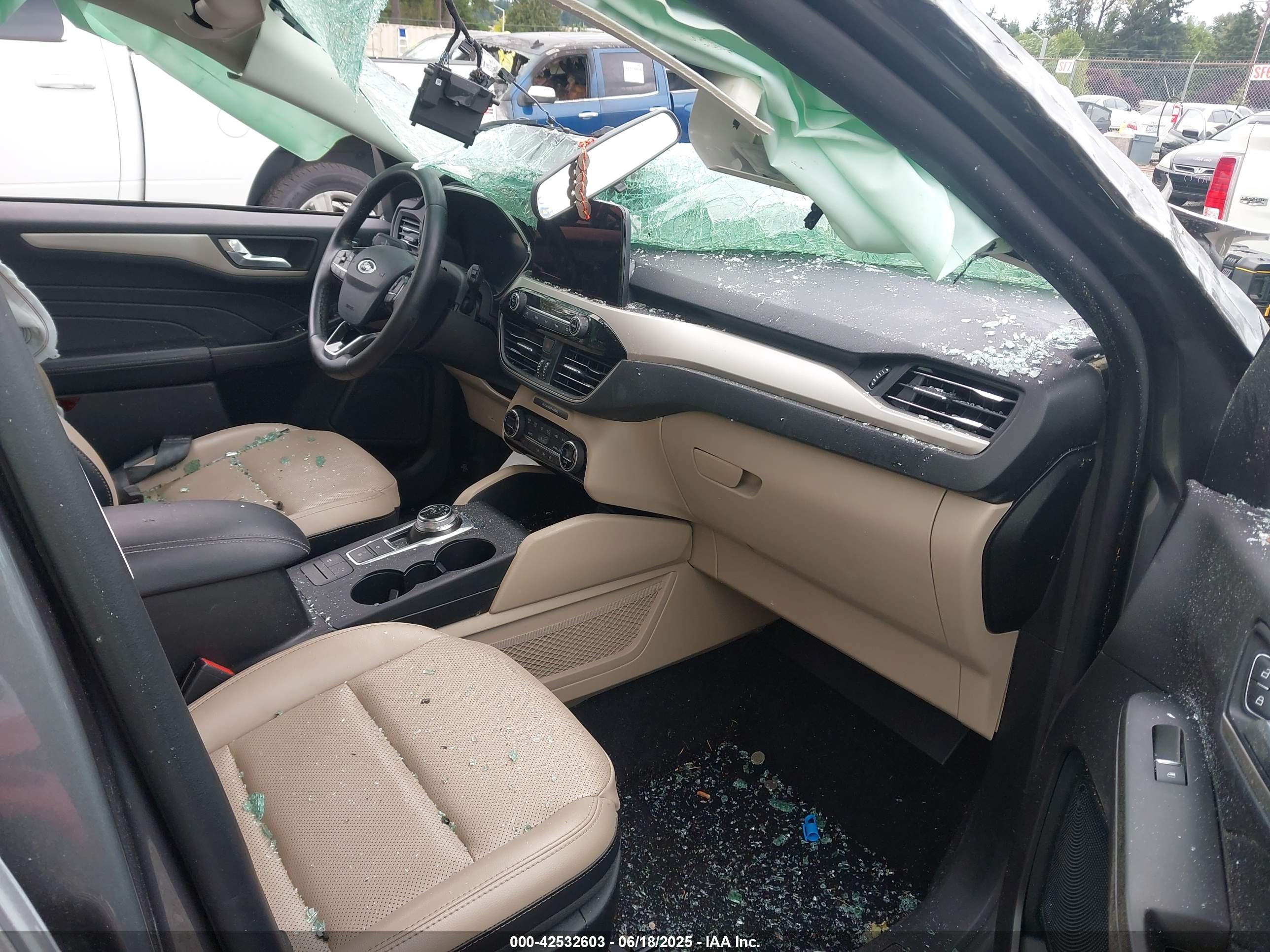 FORD ESCAPE image 5
