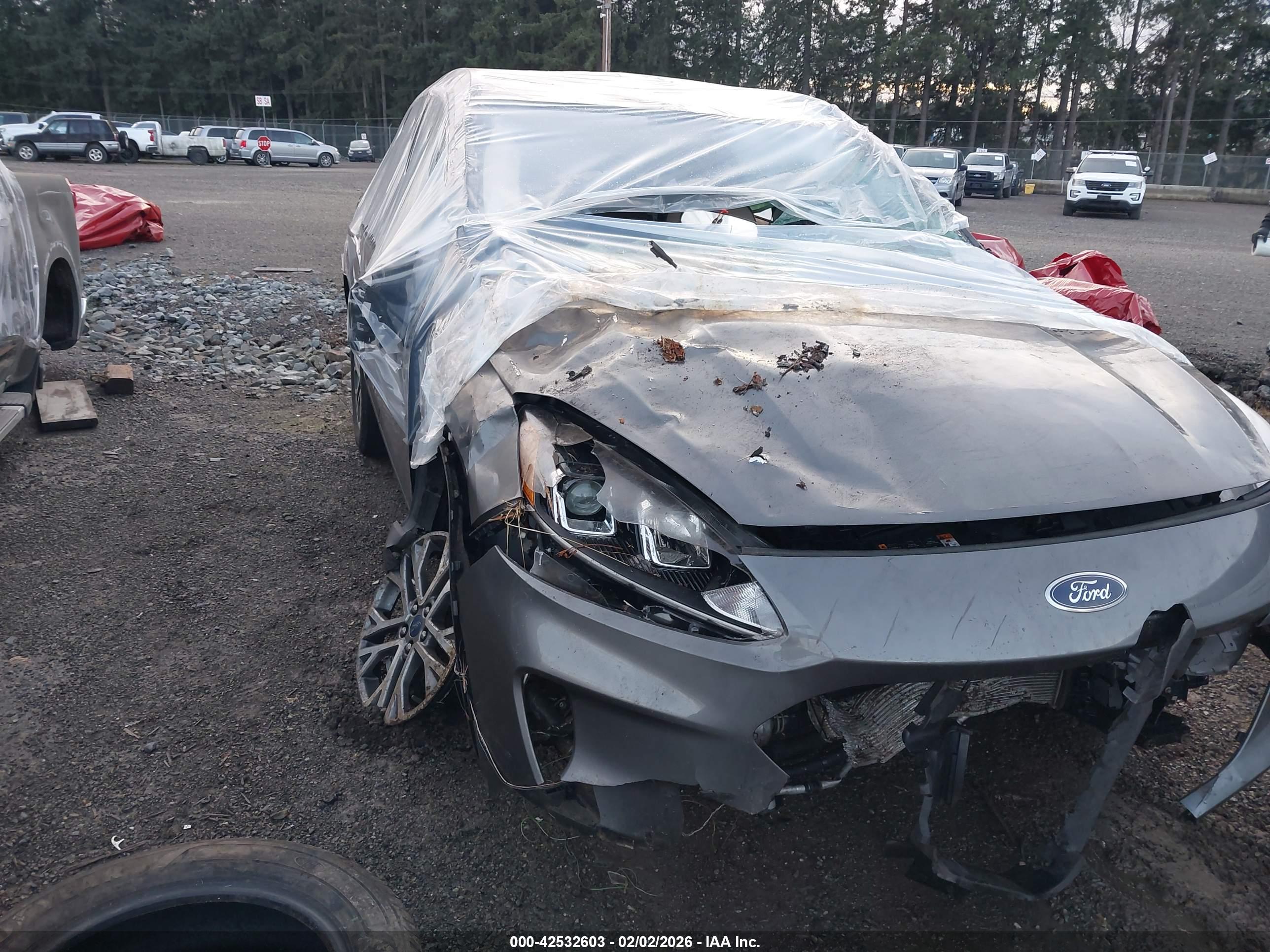 FORD ESCAPE image 6