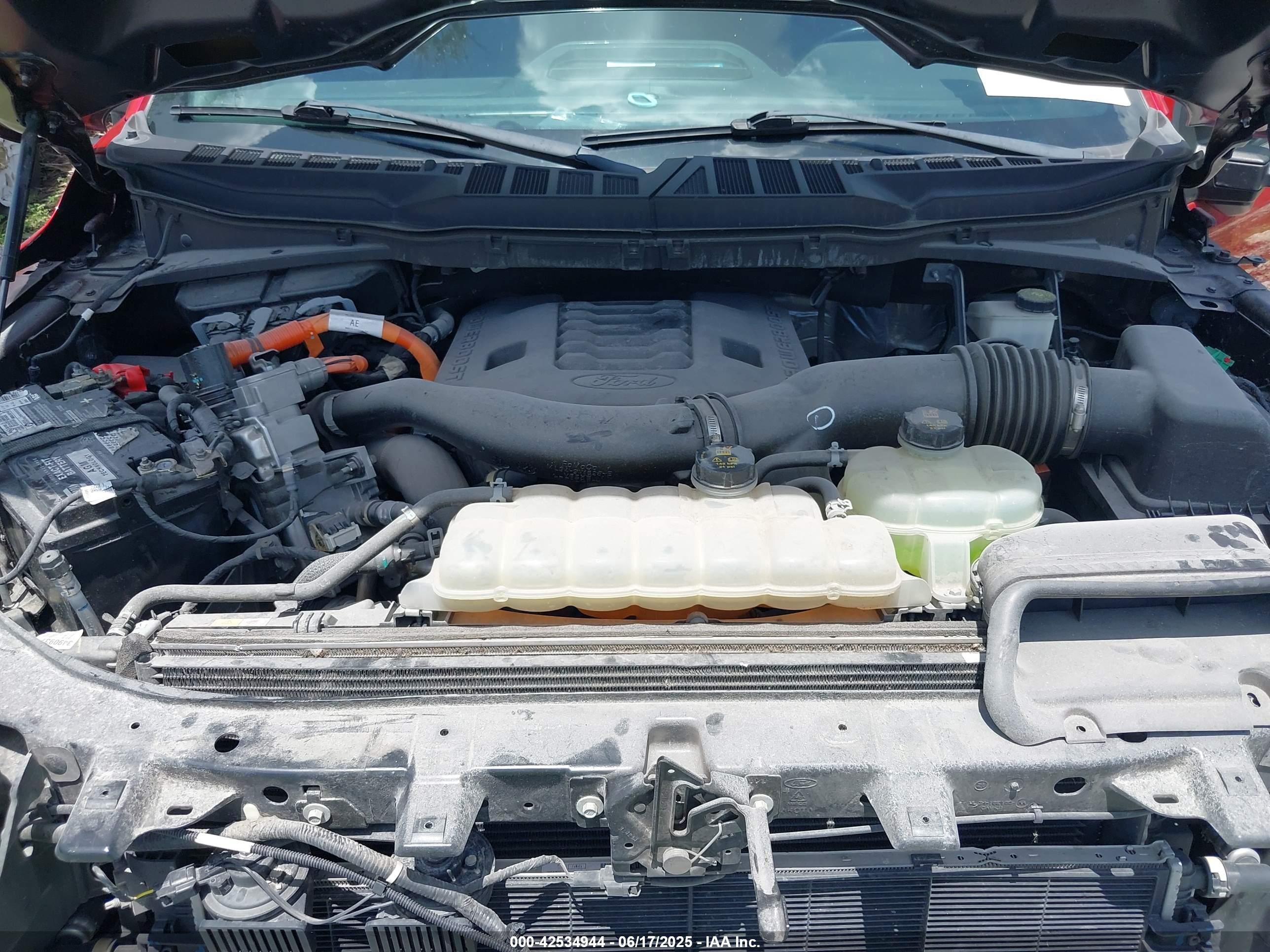 FORD F-150 image 10