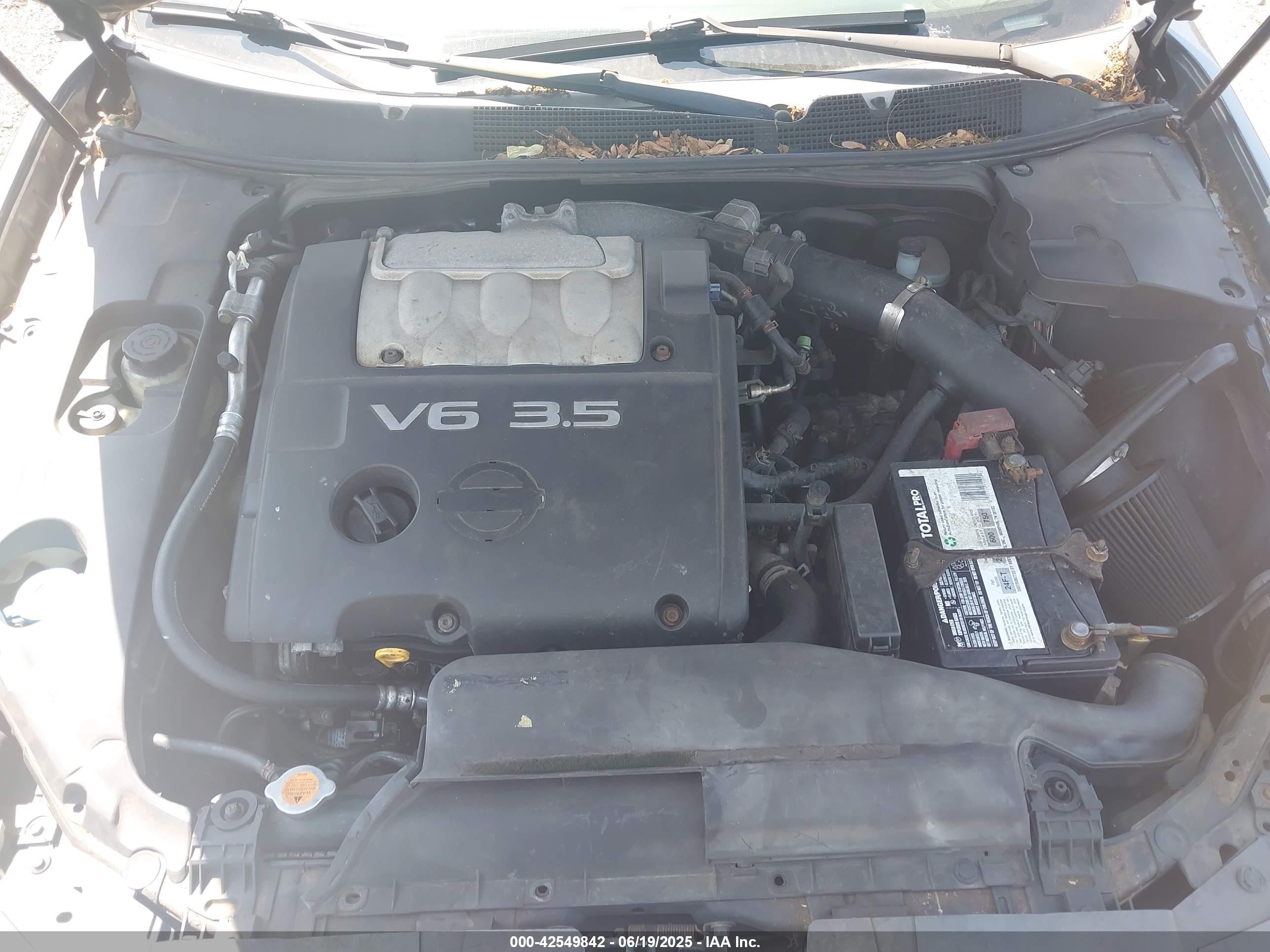 NISSAN MAXIMA image 10