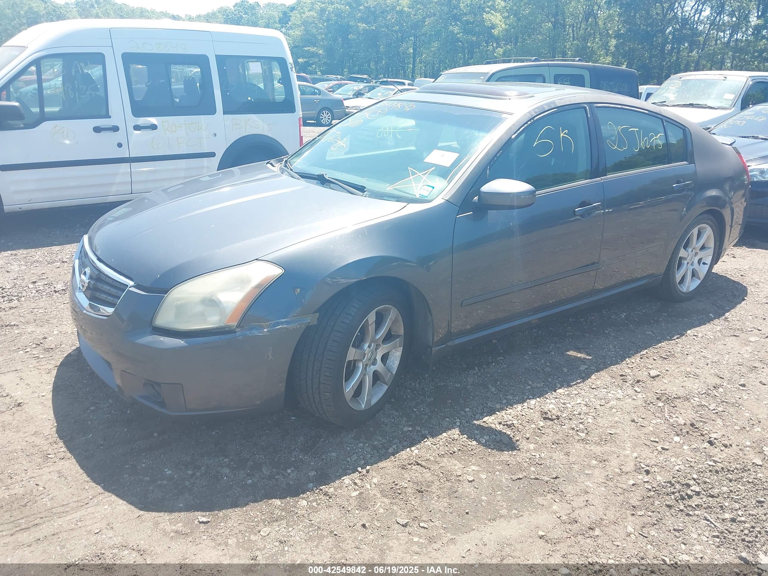 NISSAN MAXIMA image 2