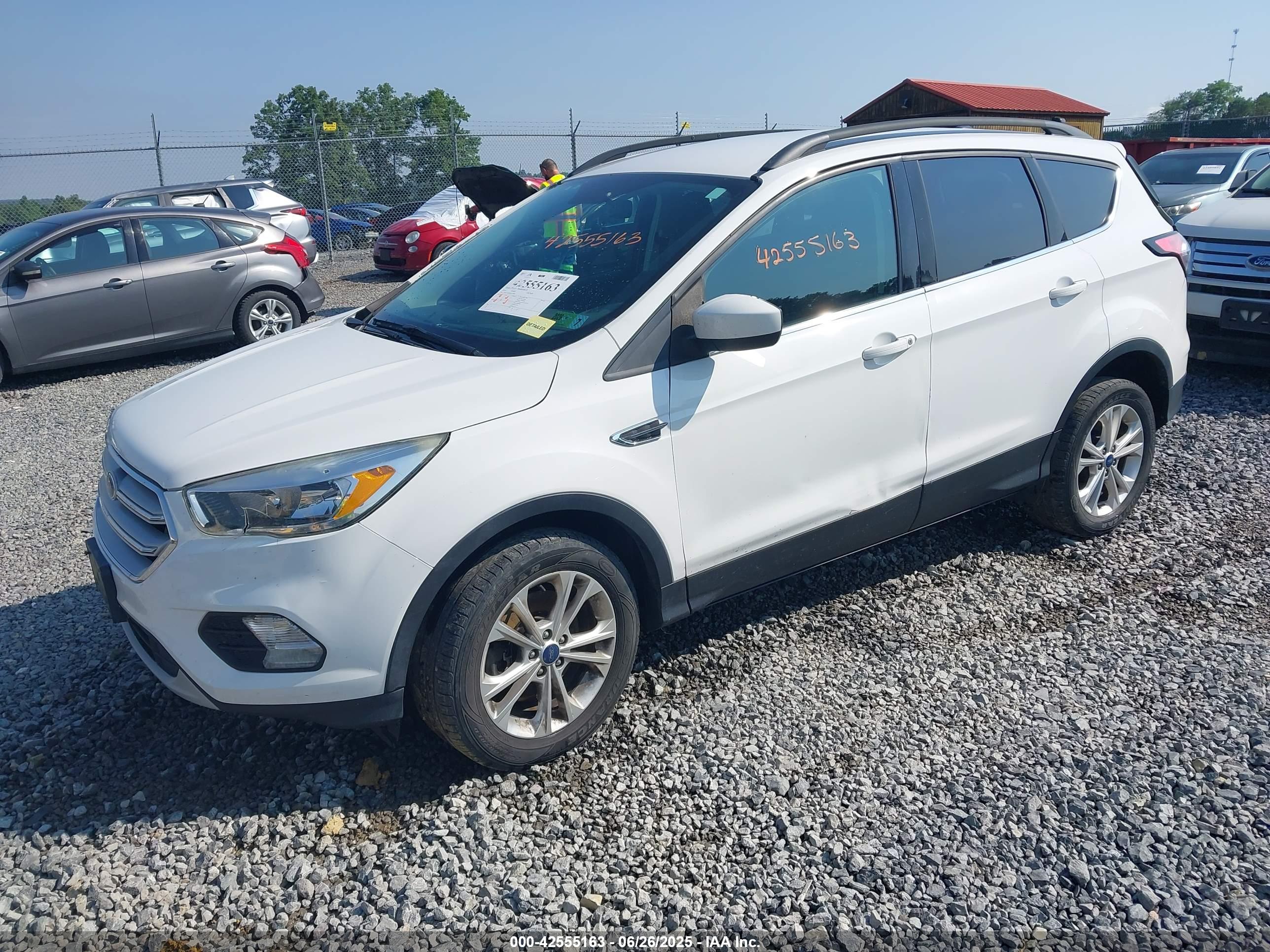 FORD ESCAPE image 2