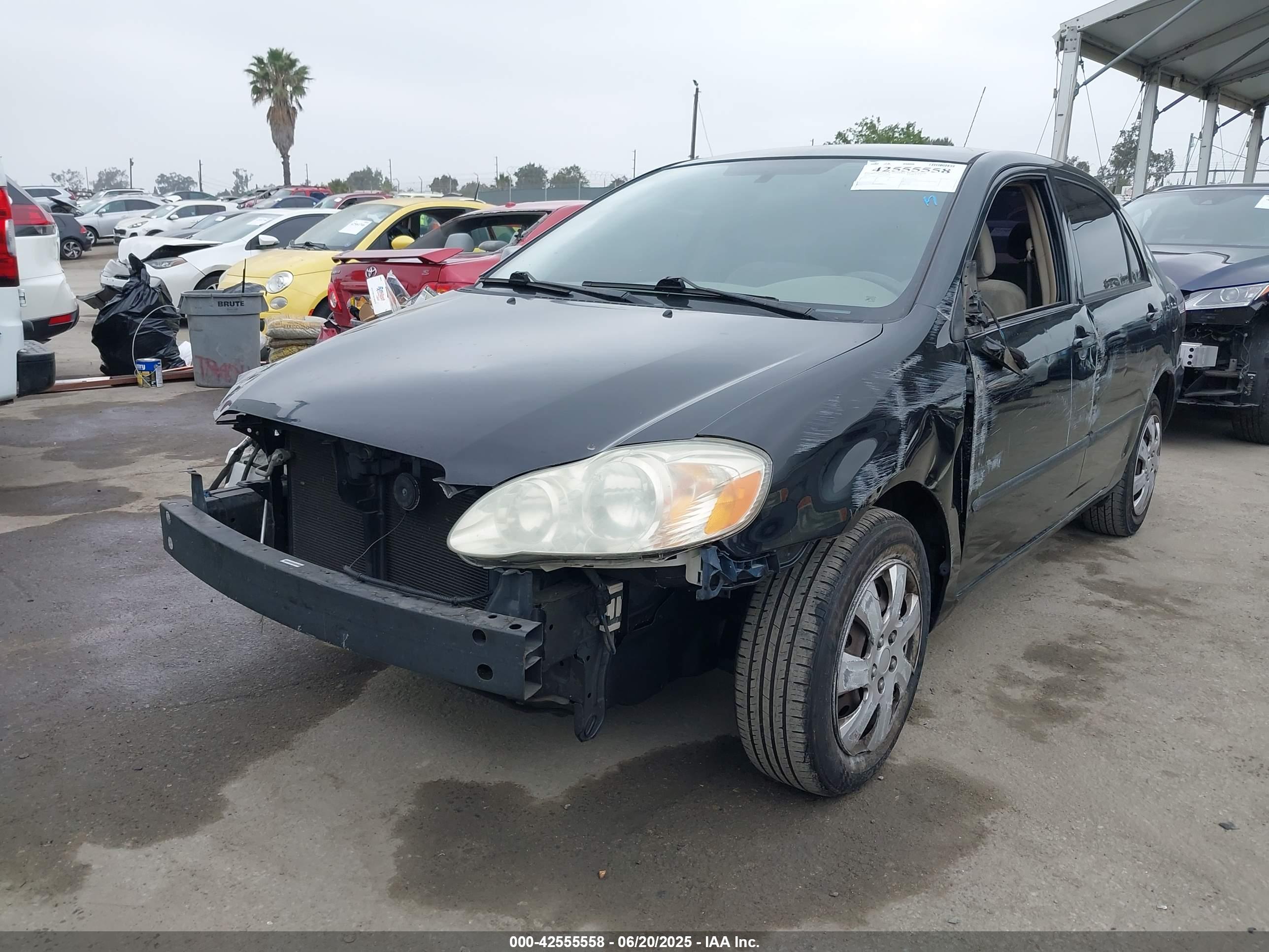 TOYOTA COROLLA image 2