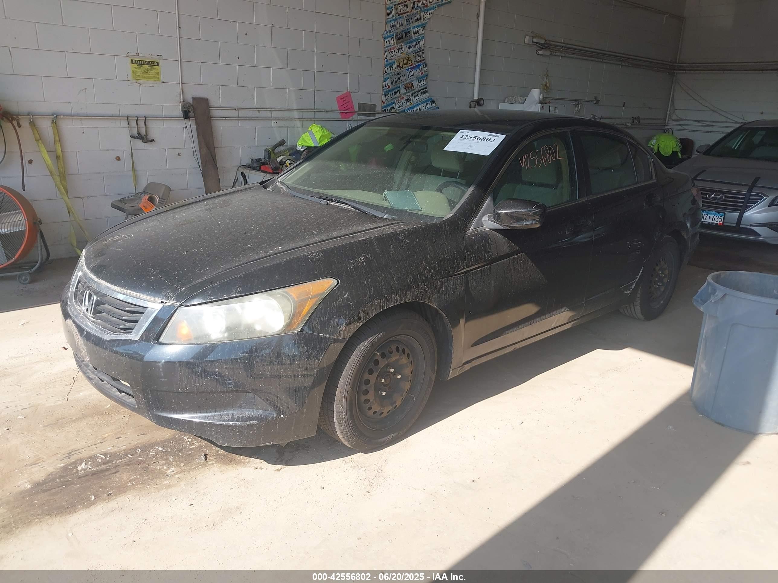 HONDA ACCORD image 2