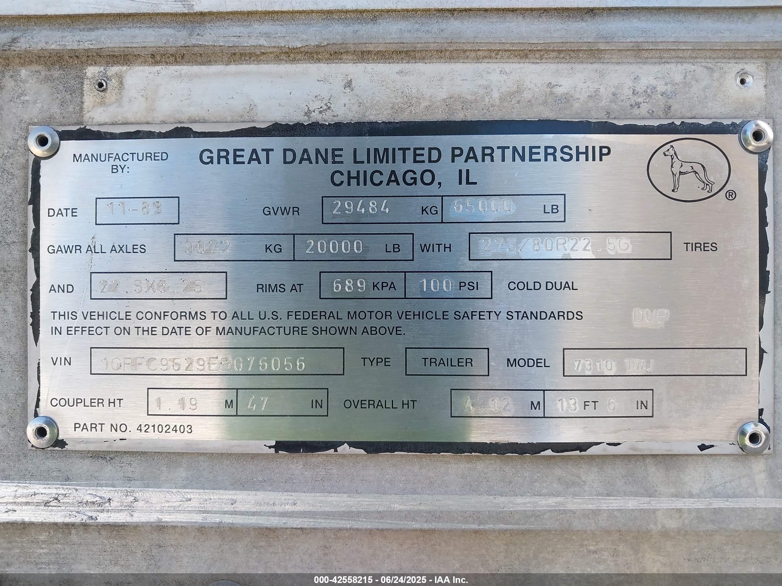GREAT DANE image 9