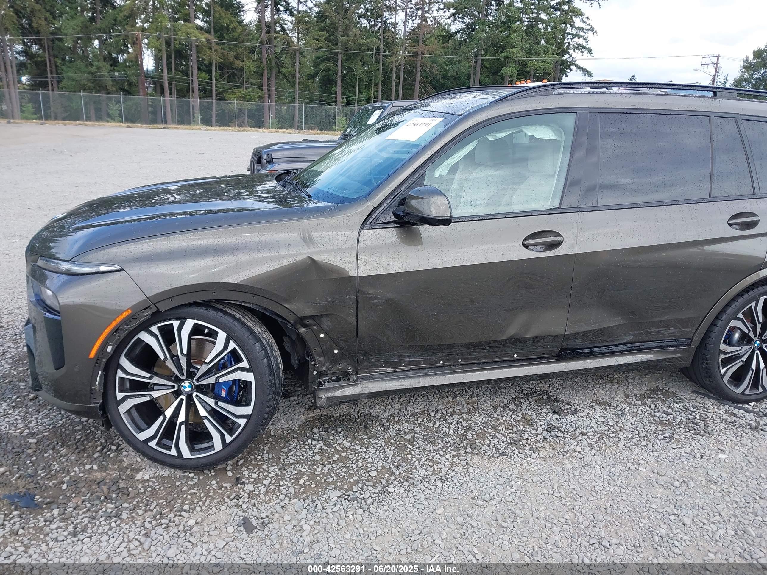 BMW X7 image 6