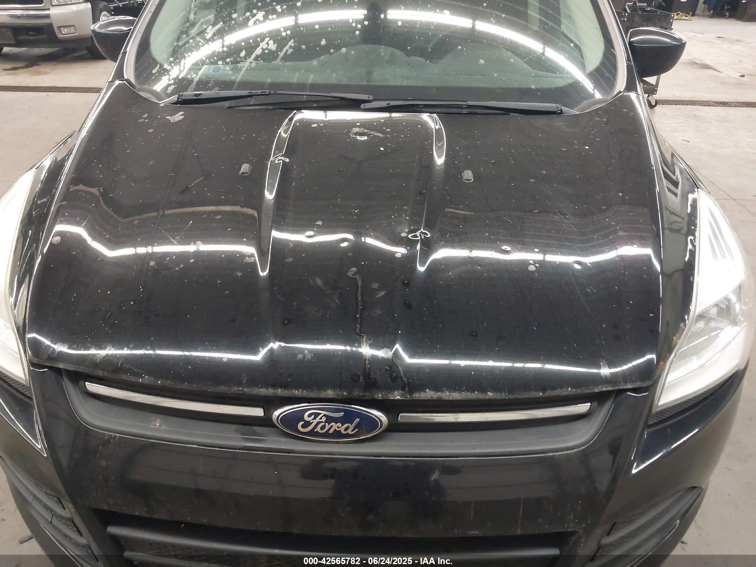 FORD ESCAPE image 6