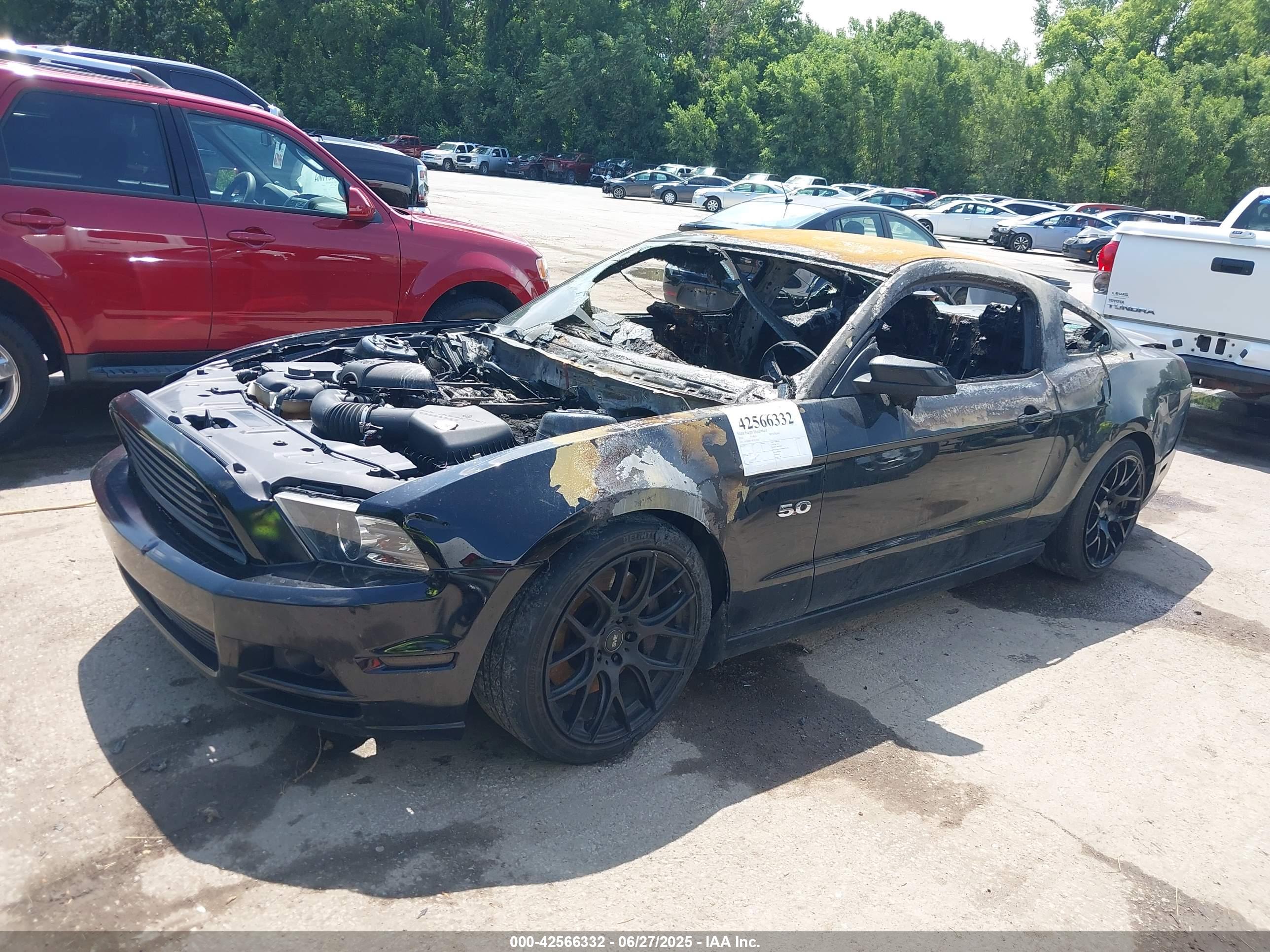 FORD MUSTANG image 2