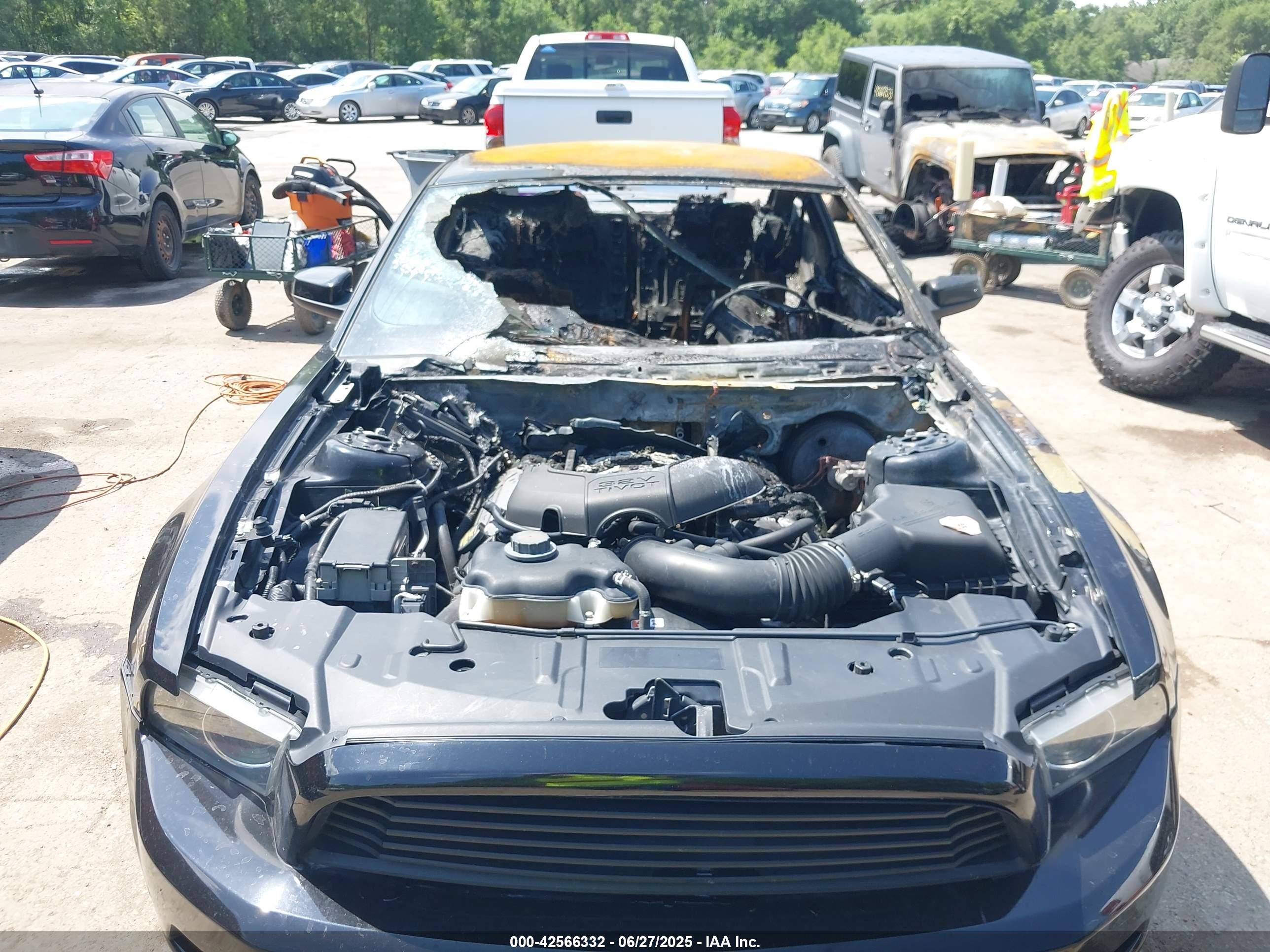 FORD MUSTANG image 6