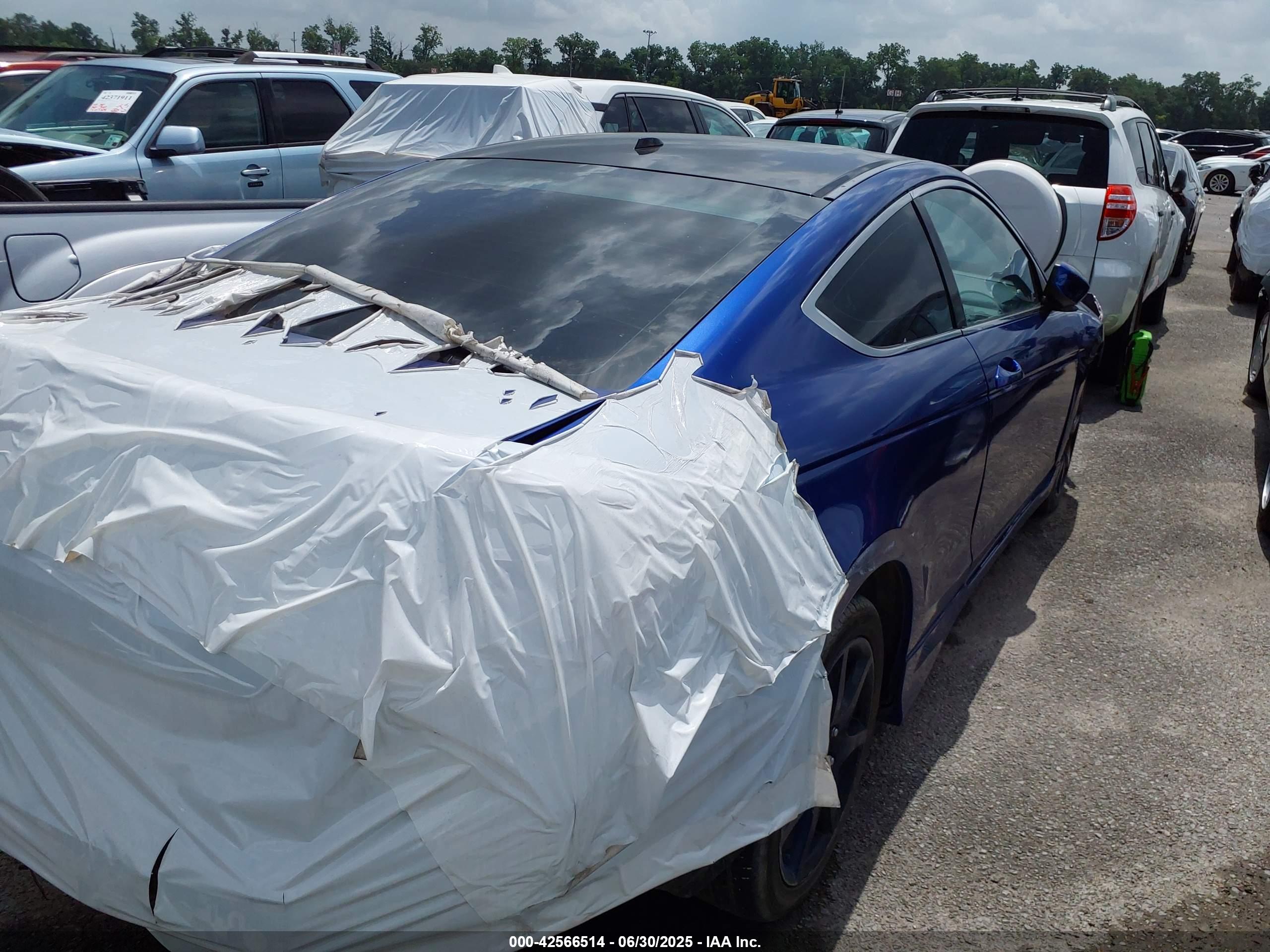 HONDA ACCORD image 4