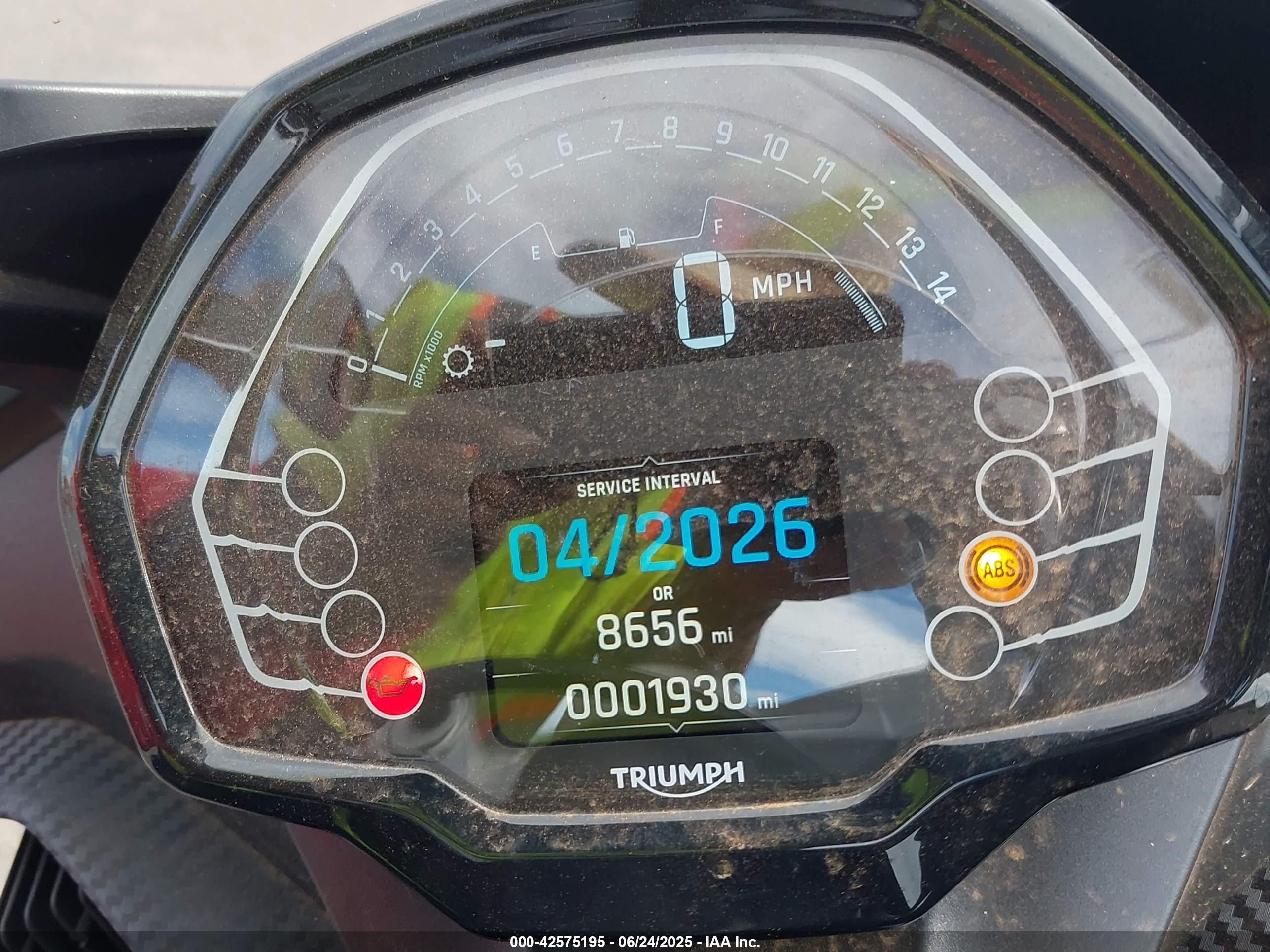 TRIUMPH MOTORCYCLE image 7