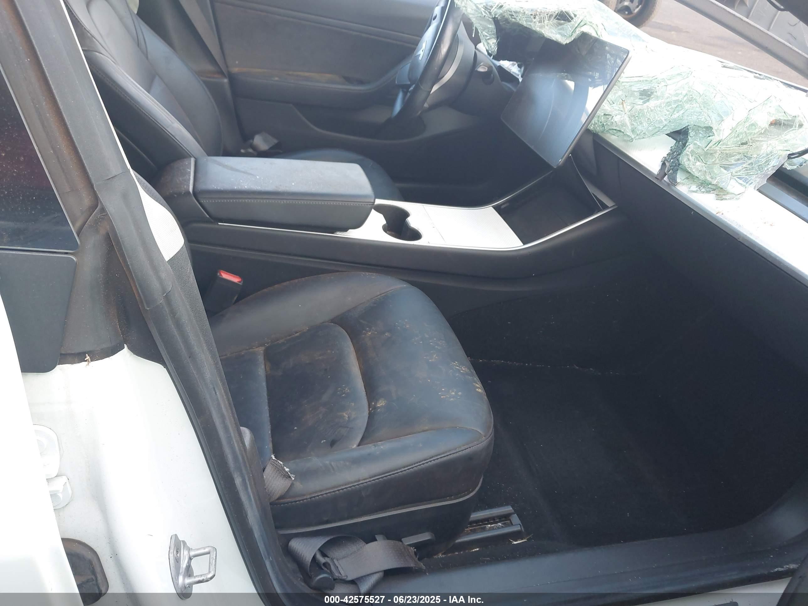 TESLA MODEL image 5