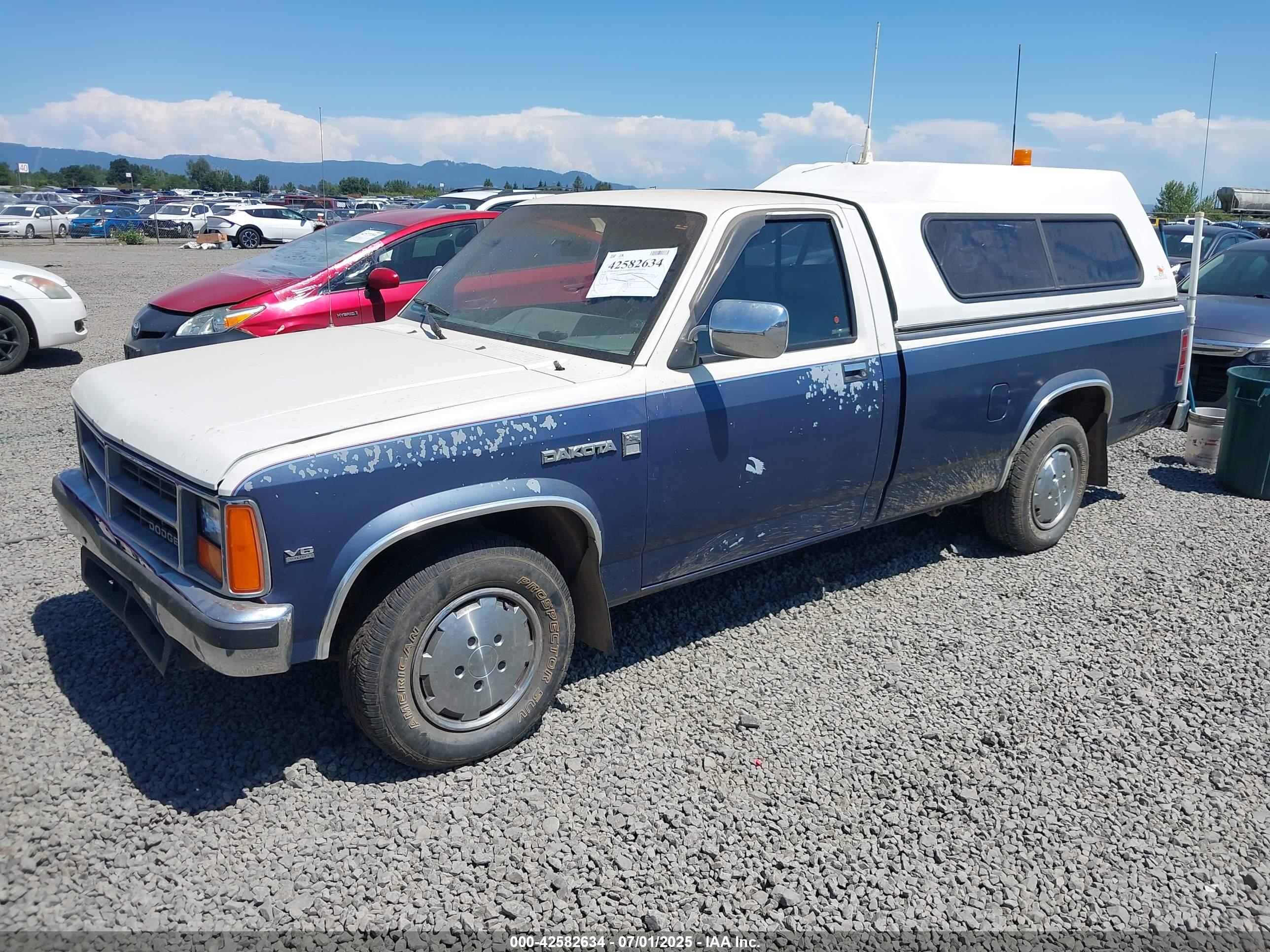DODGE DAKOTA image 2