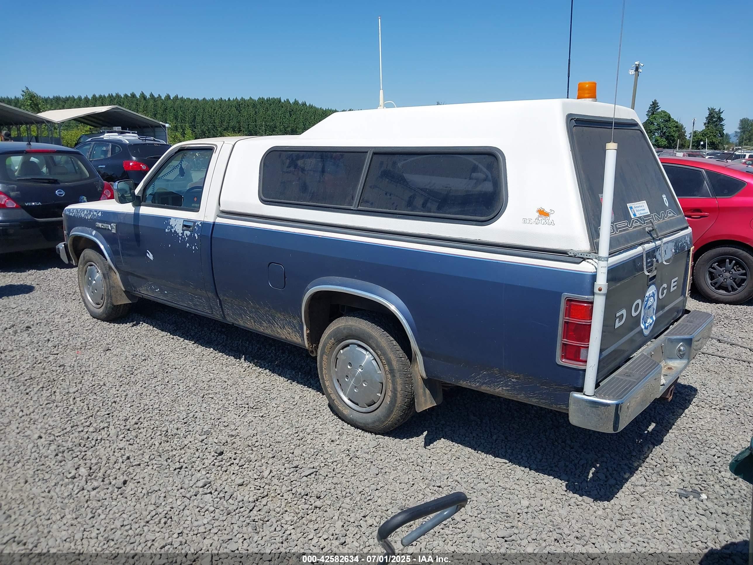 DODGE DAKOTA image 3