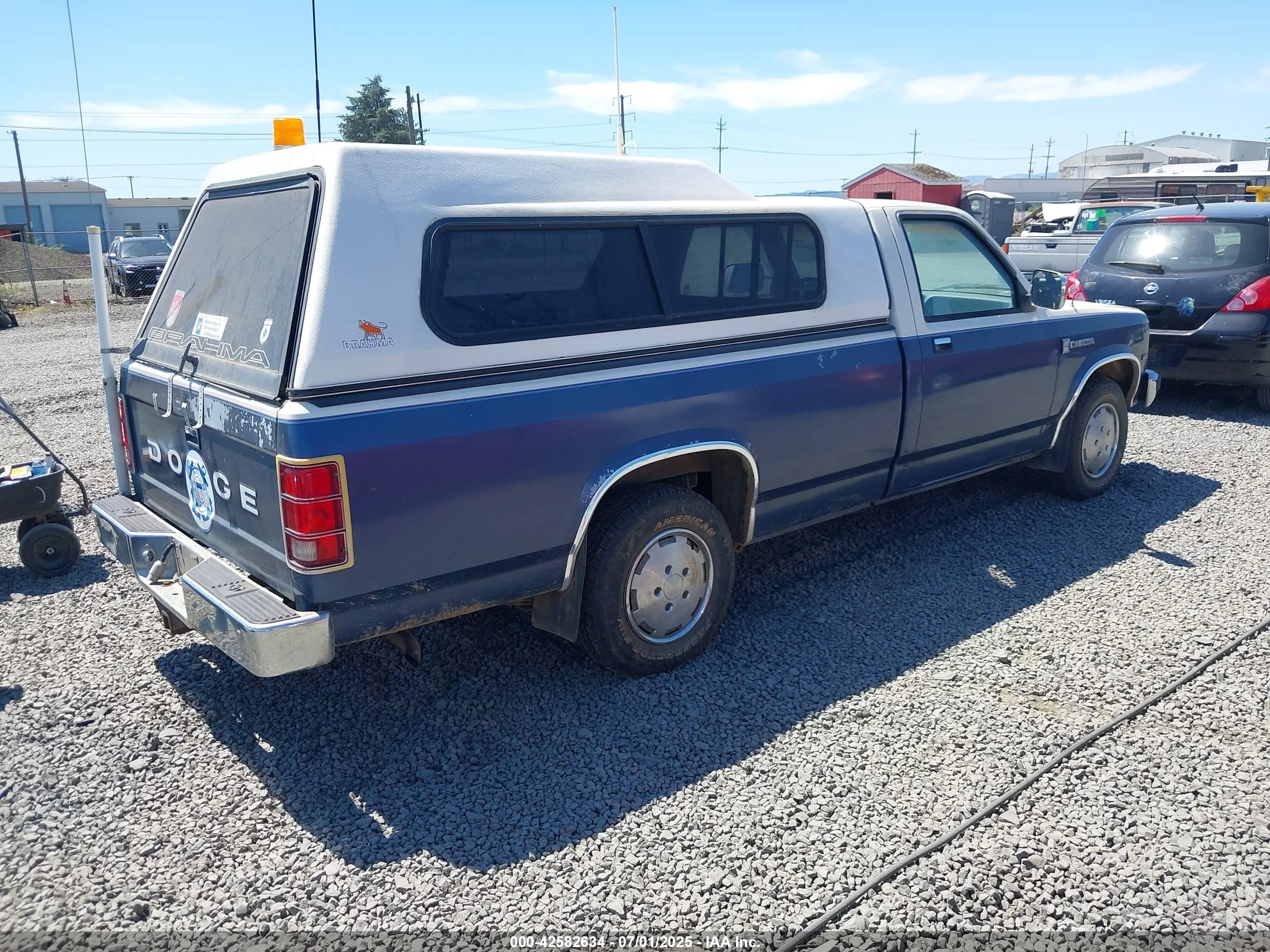 DODGE DAKOTA image 4