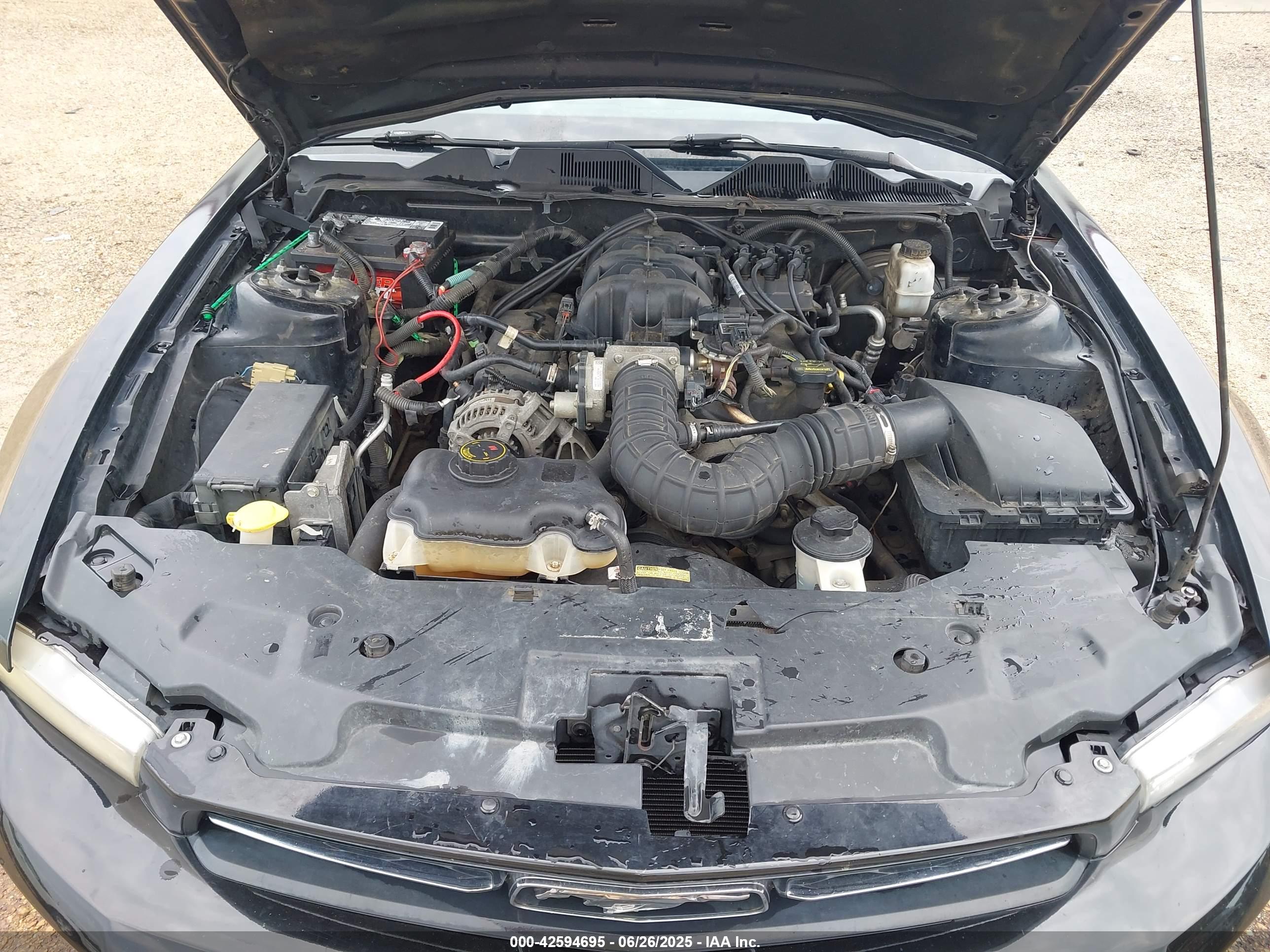 FORD MUSTANG image 10