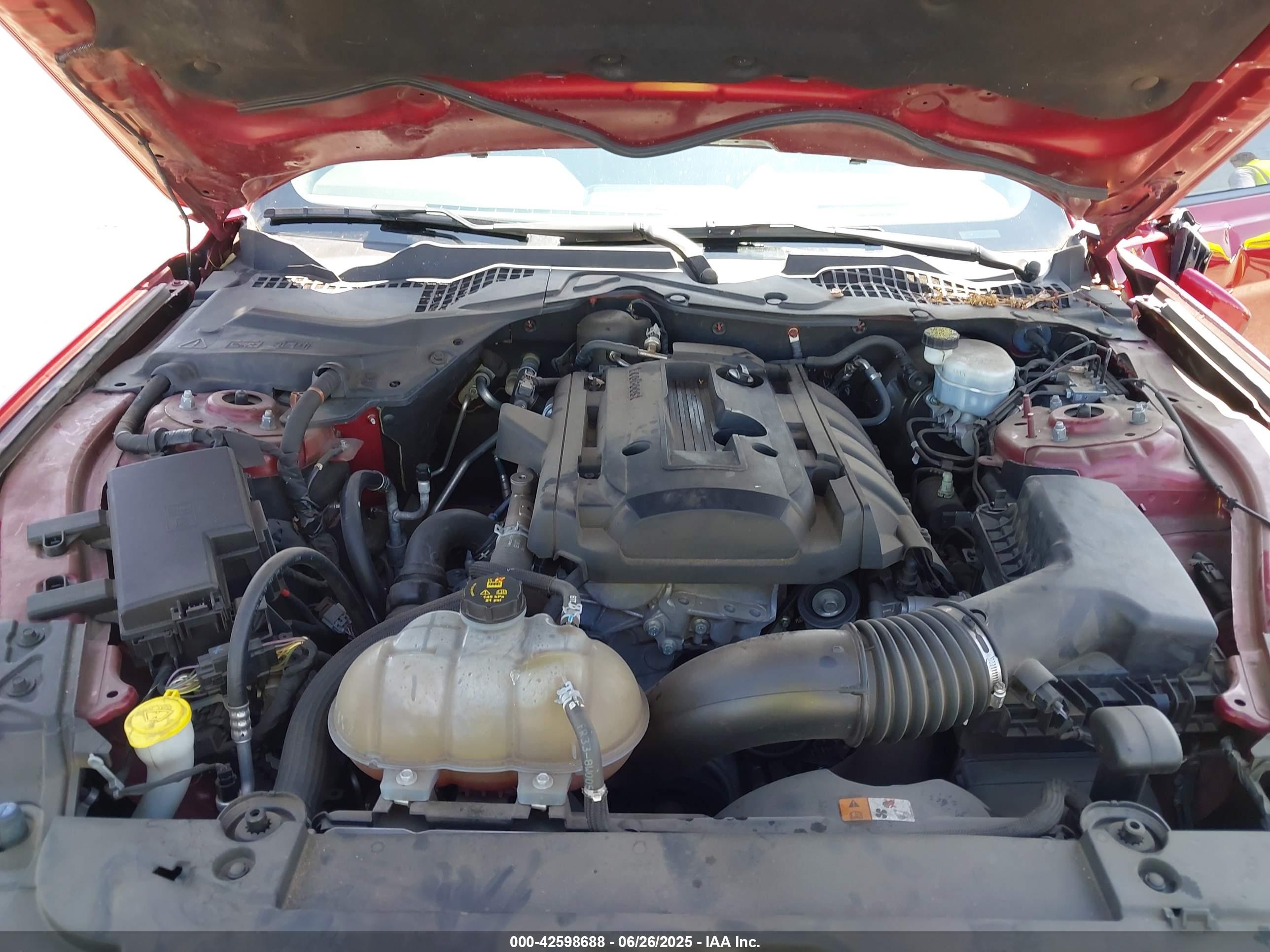 FORD MUSTANG image 10