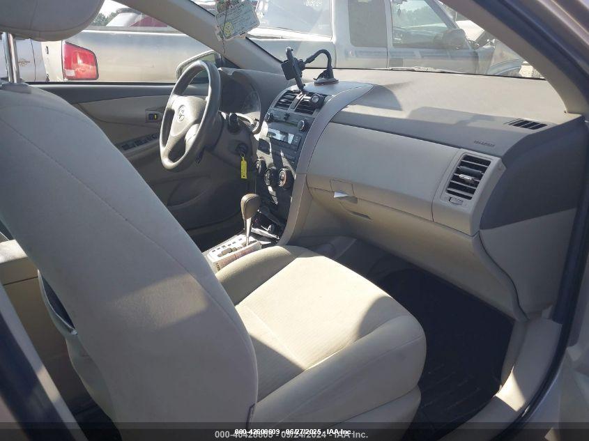 TOYOTA COROLLA image 5