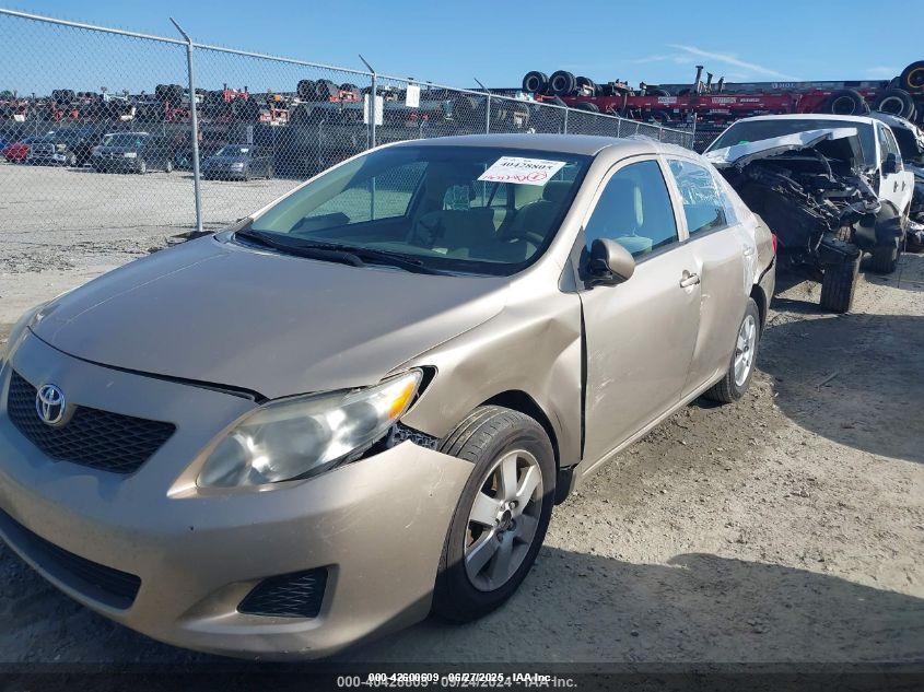 TOYOTA COROLLA image 6