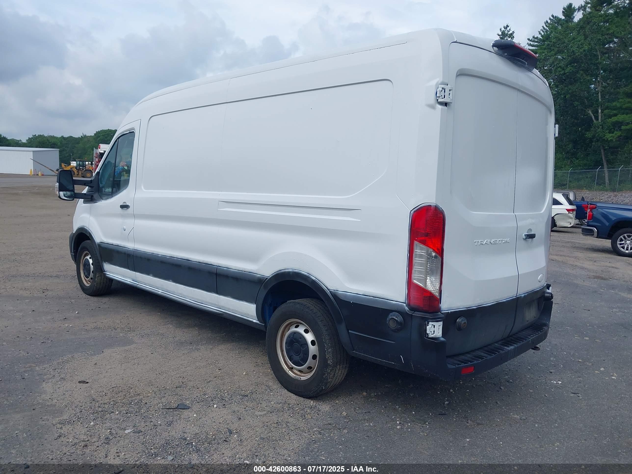 FORD TRANSIT-250 image 3