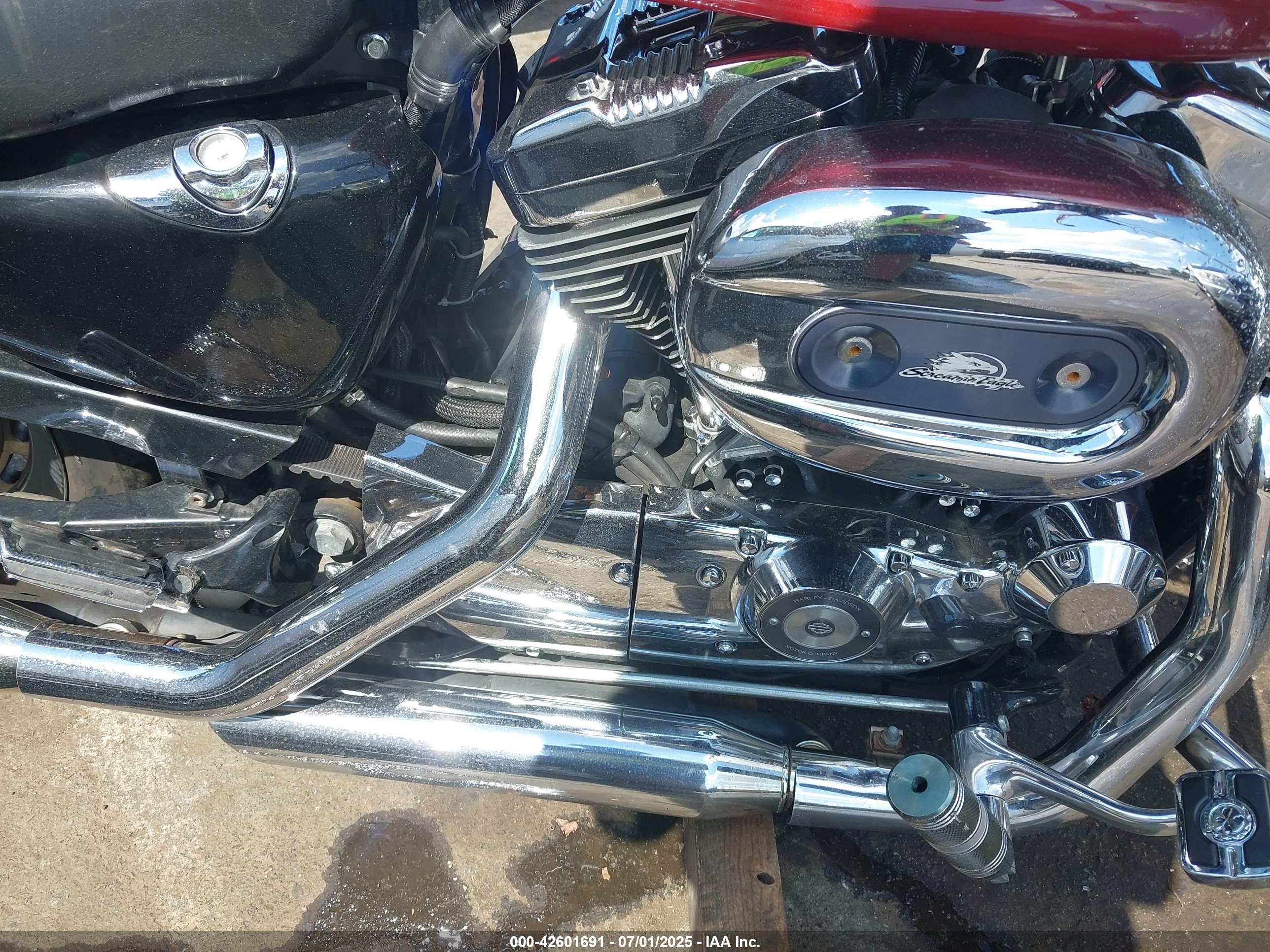 HARLEY-DAVIDSON XL1200 image 8