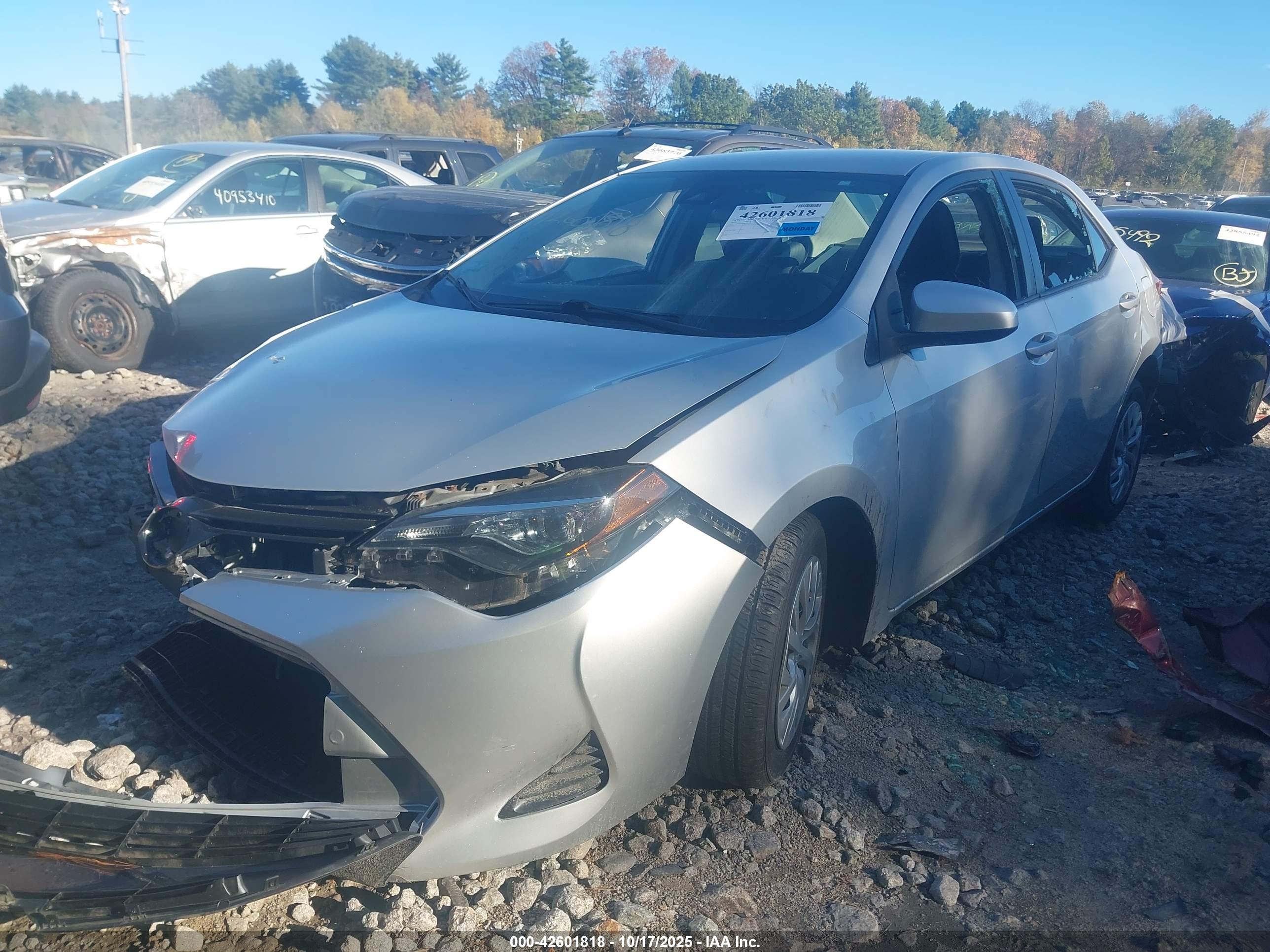 TOYOTA COROLLA image 2