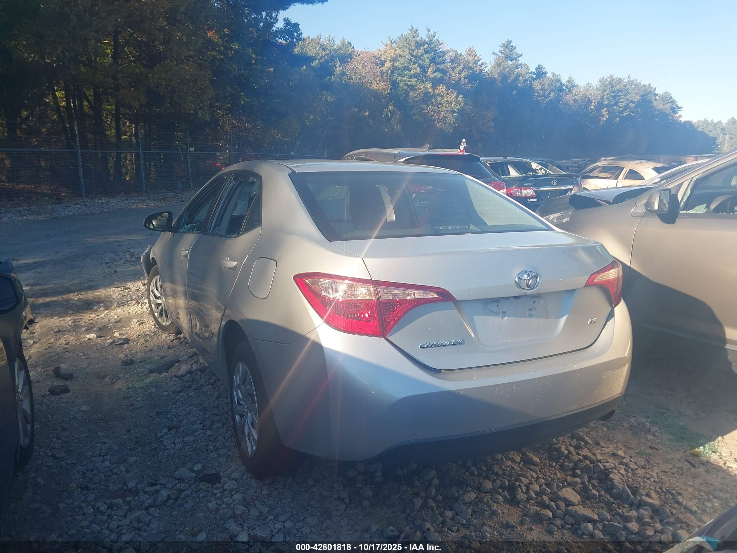 TOYOTA COROLLA image 3