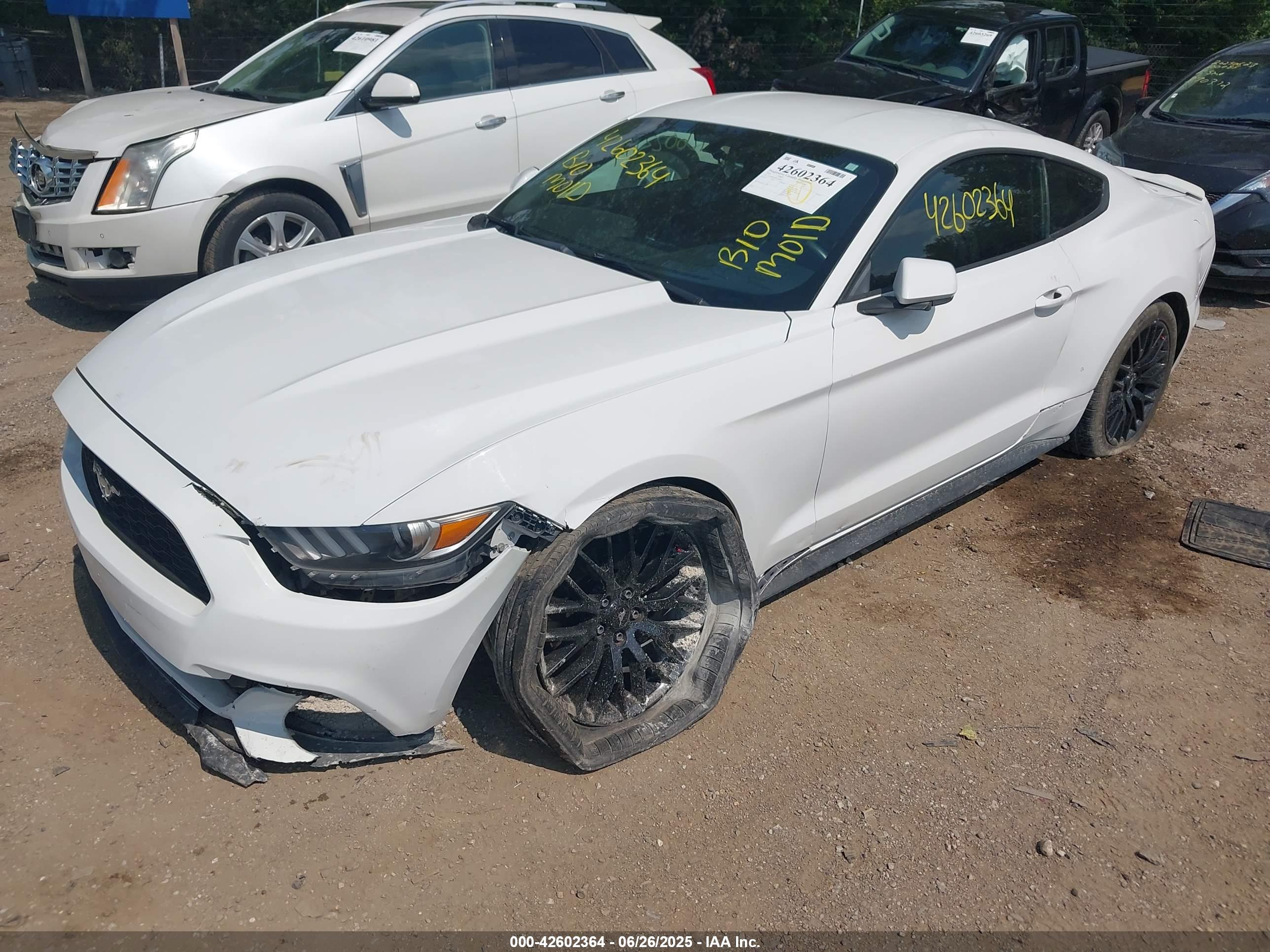 FORD MUSTANG image 2