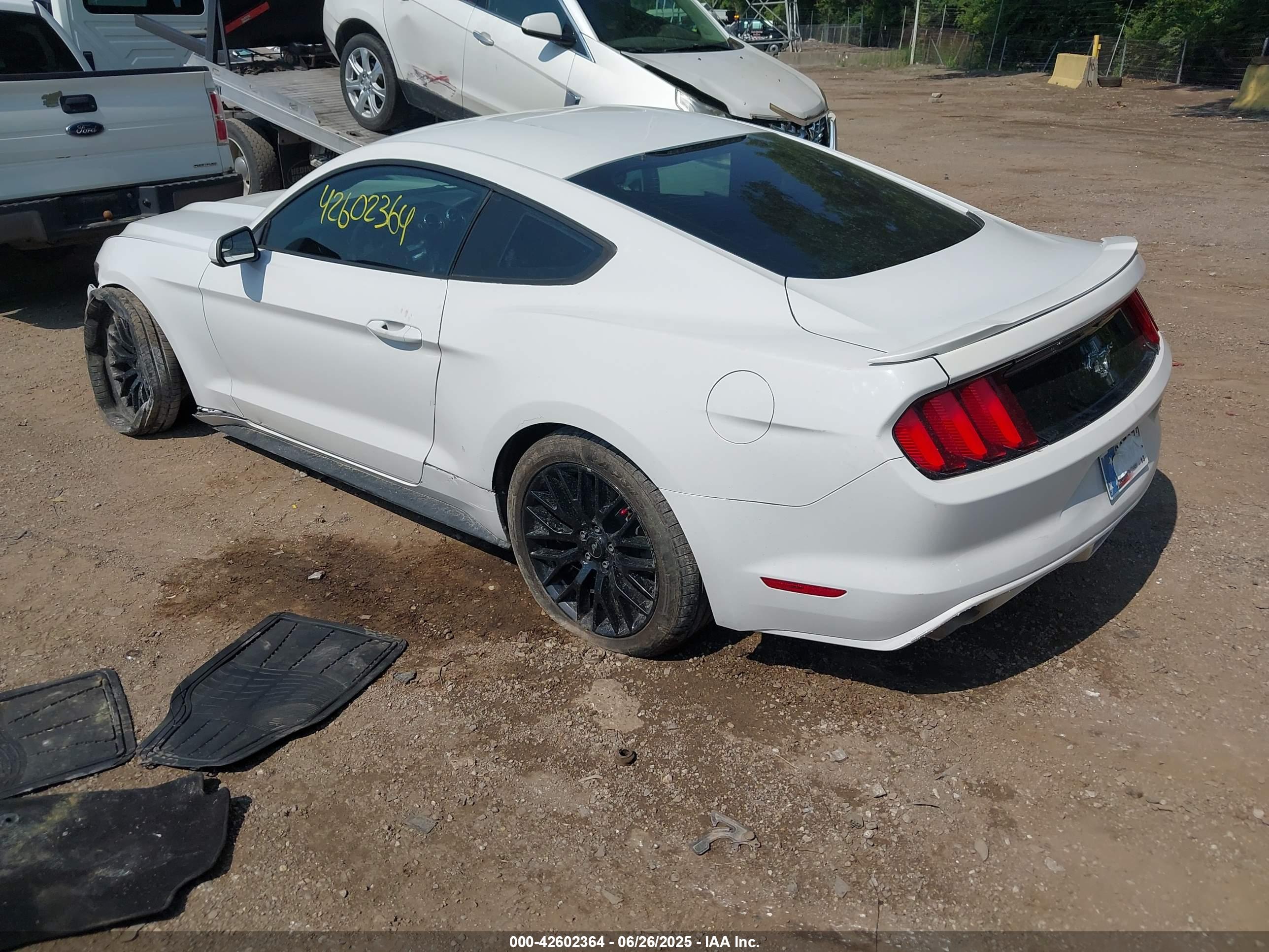 FORD MUSTANG image 3