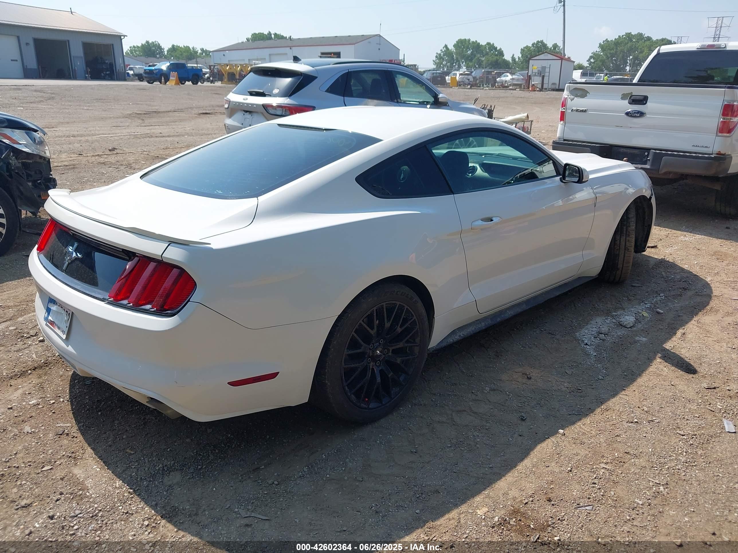 FORD MUSTANG image 4