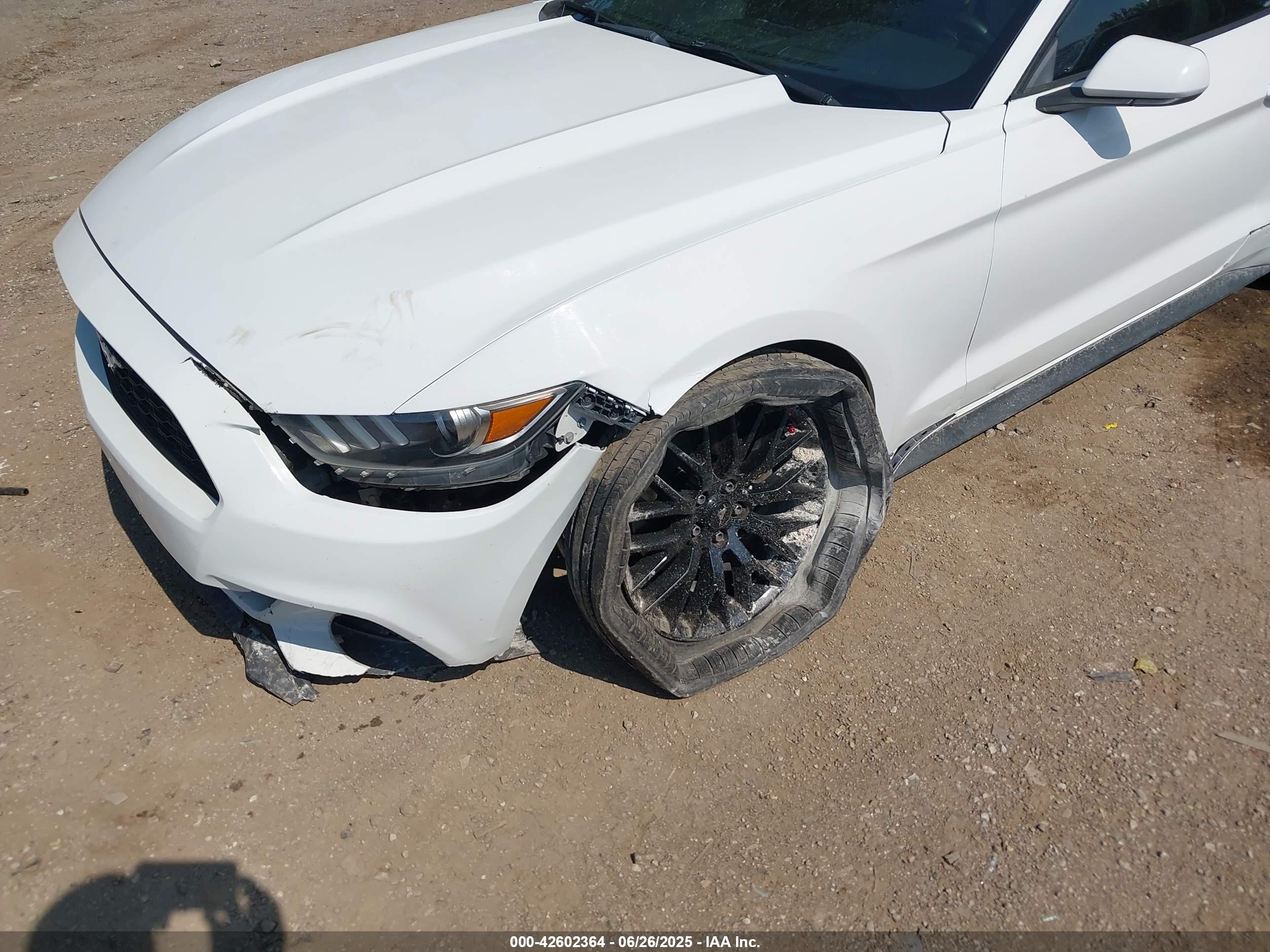 FORD MUSTANG image 6