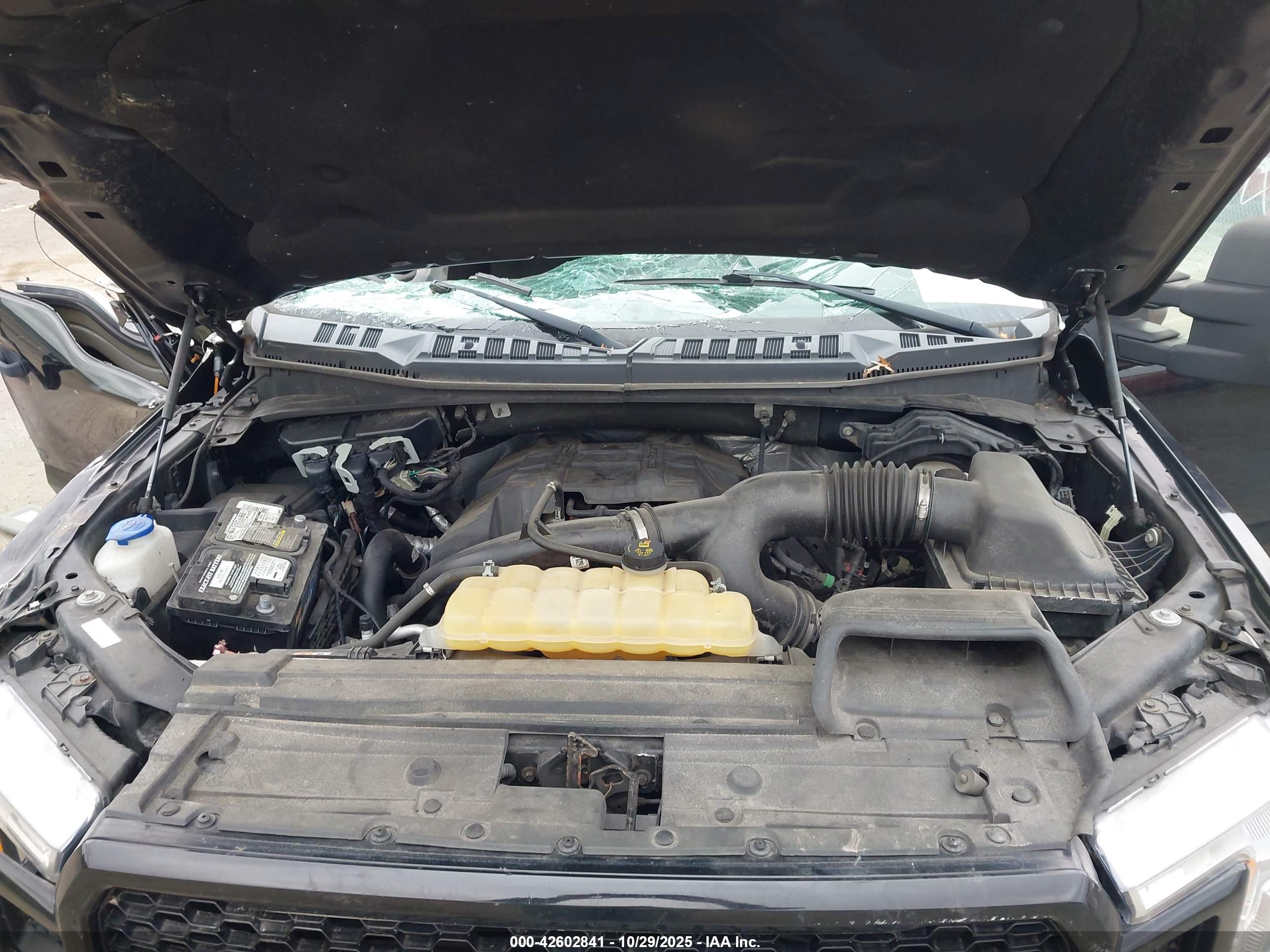 FORD F-150 image 10