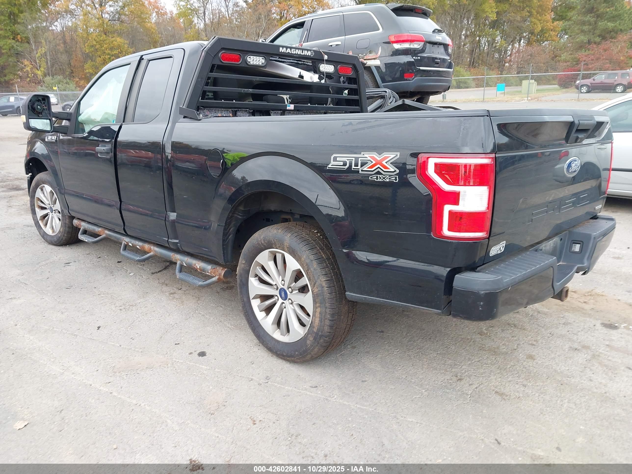 FORD F-150 image 3